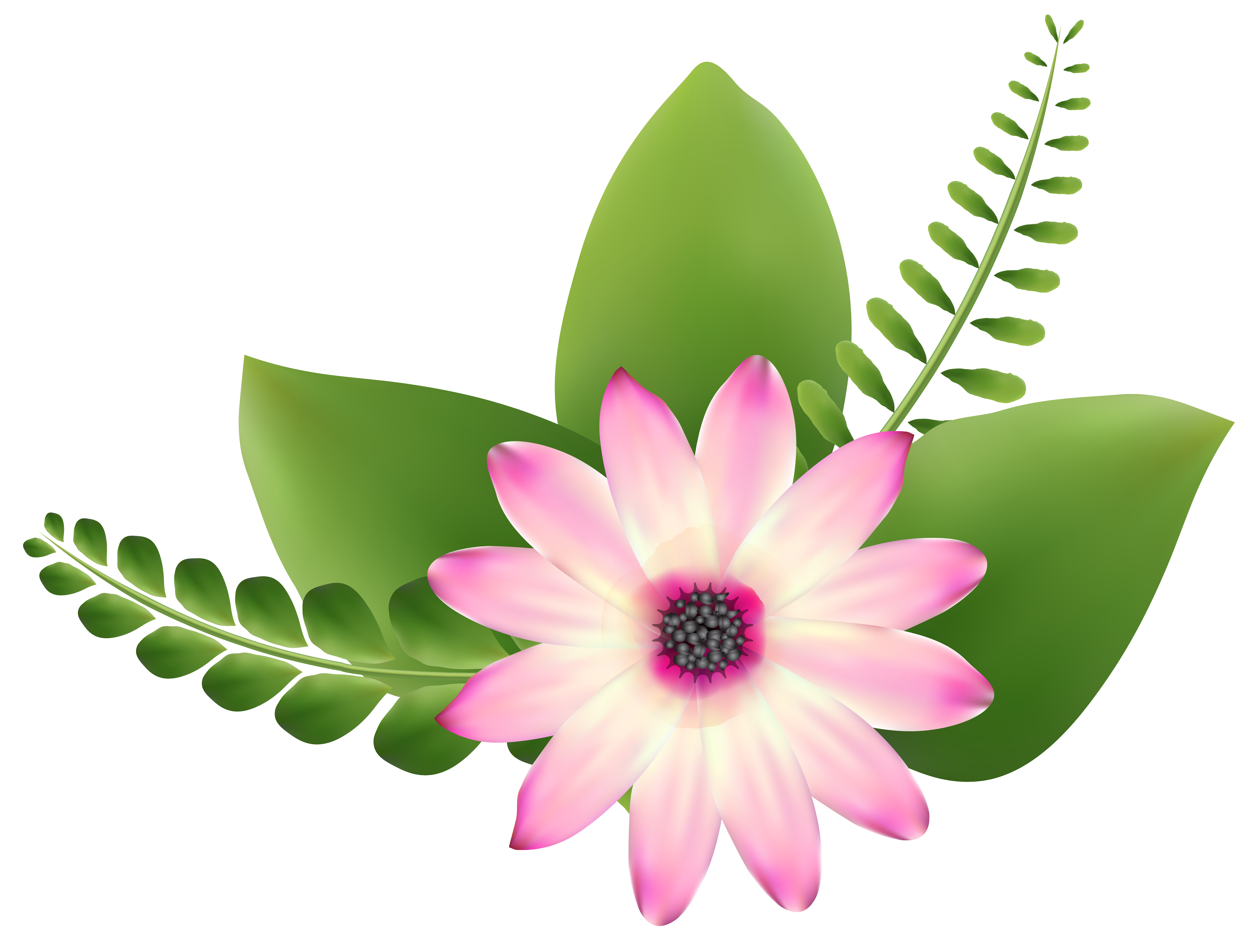 pink and green flower clipart