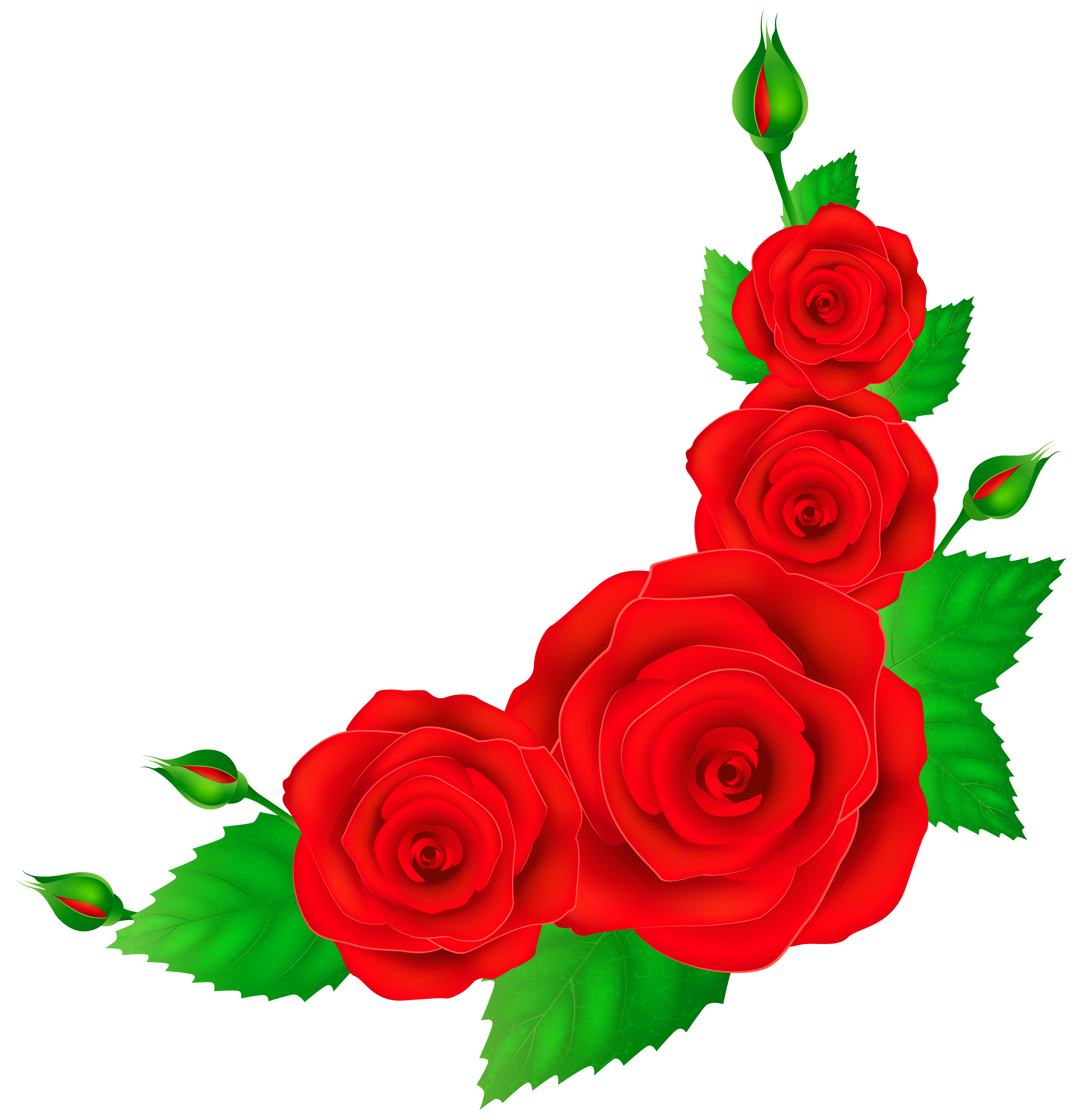 red roses border clip art