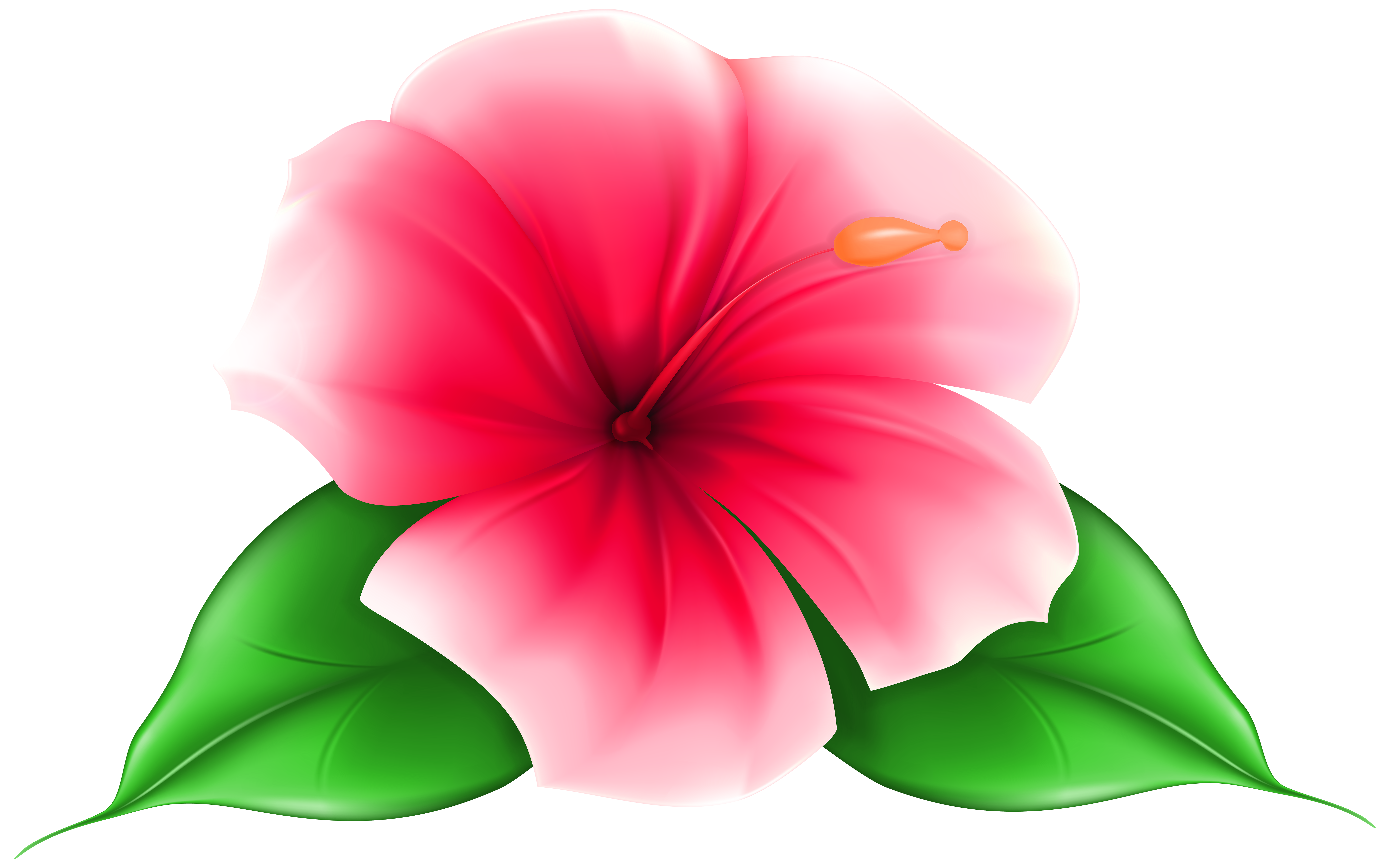 Exotic Flower PNG Clip Art Image​ | Gallery Yopriceville - High-Quality  Free Images and Transparent PNG Clipart