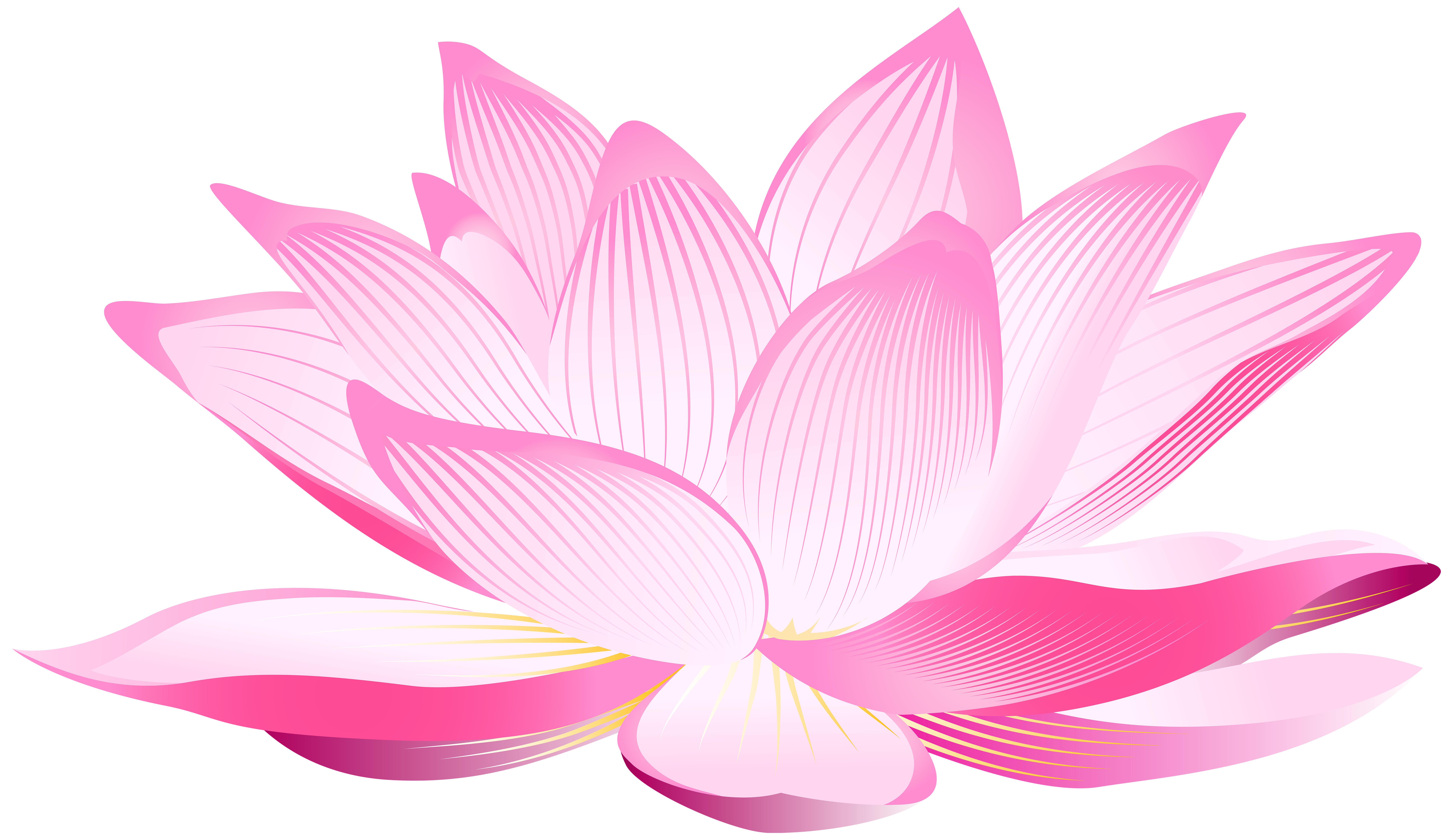 lotus flower png