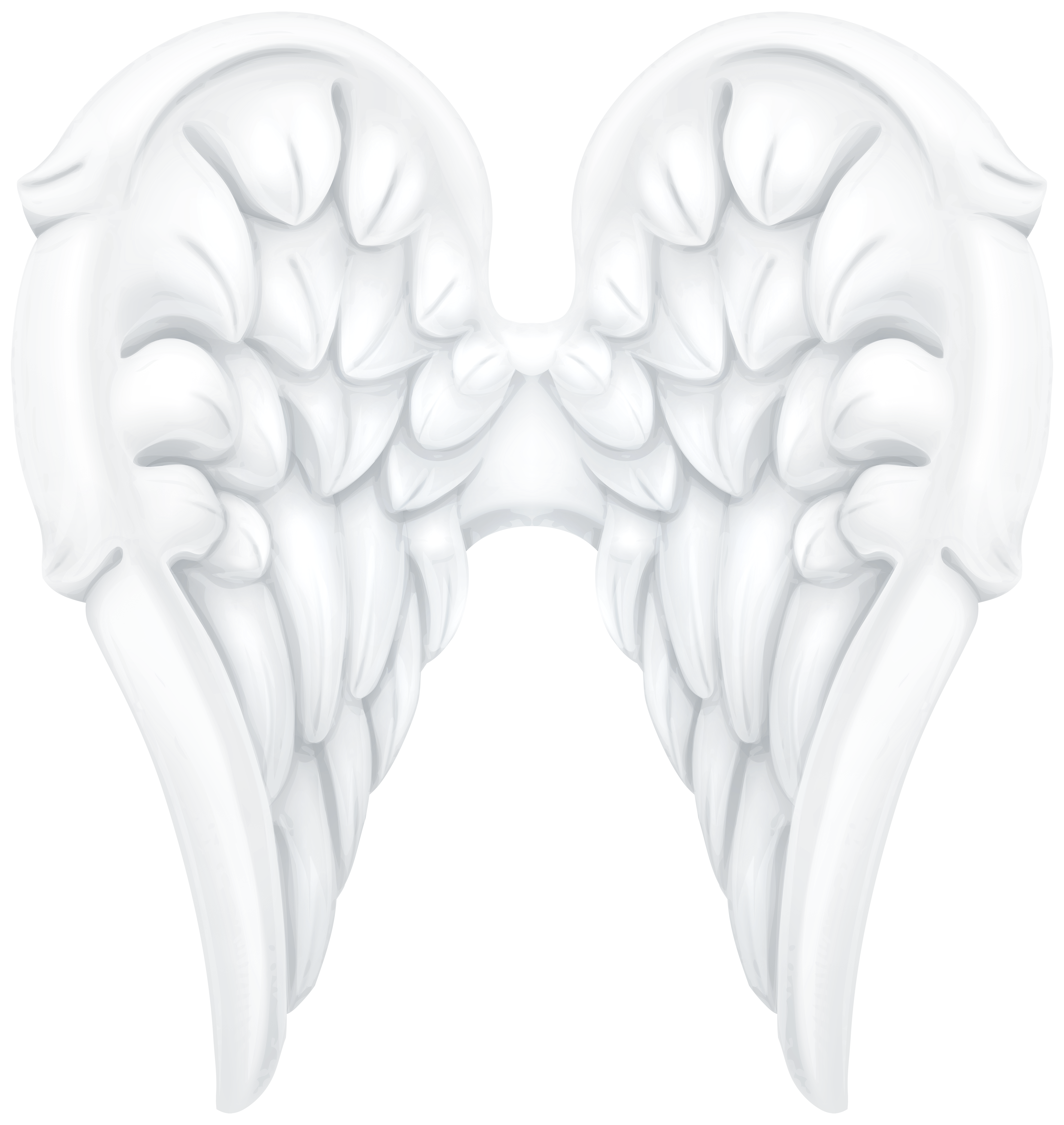 White Angel Wings