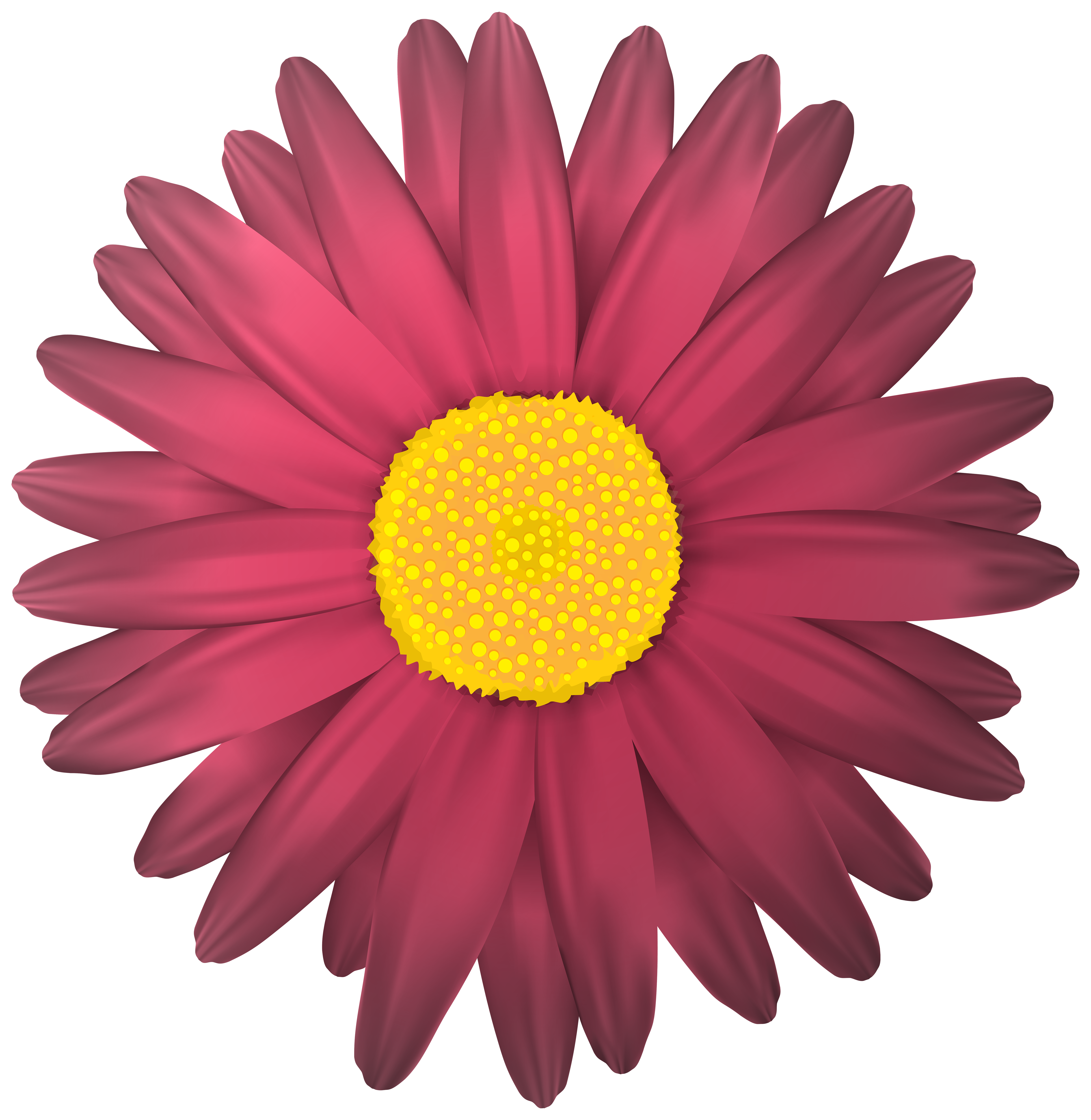 Flower transparent background PNG cliparts free download