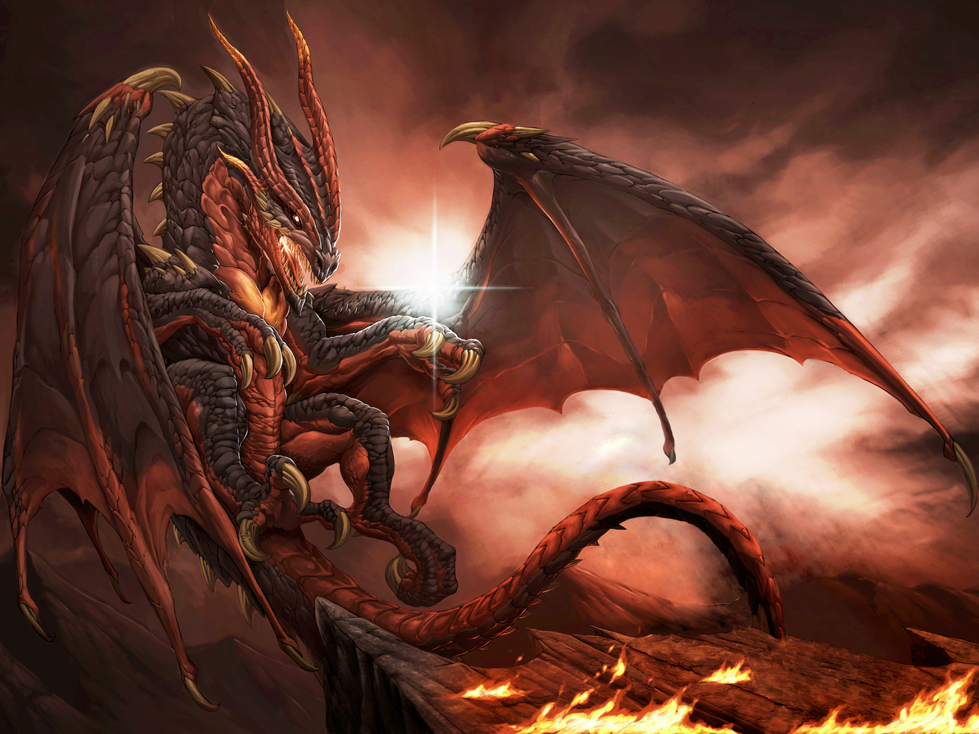 3d fire dragon wallpapers