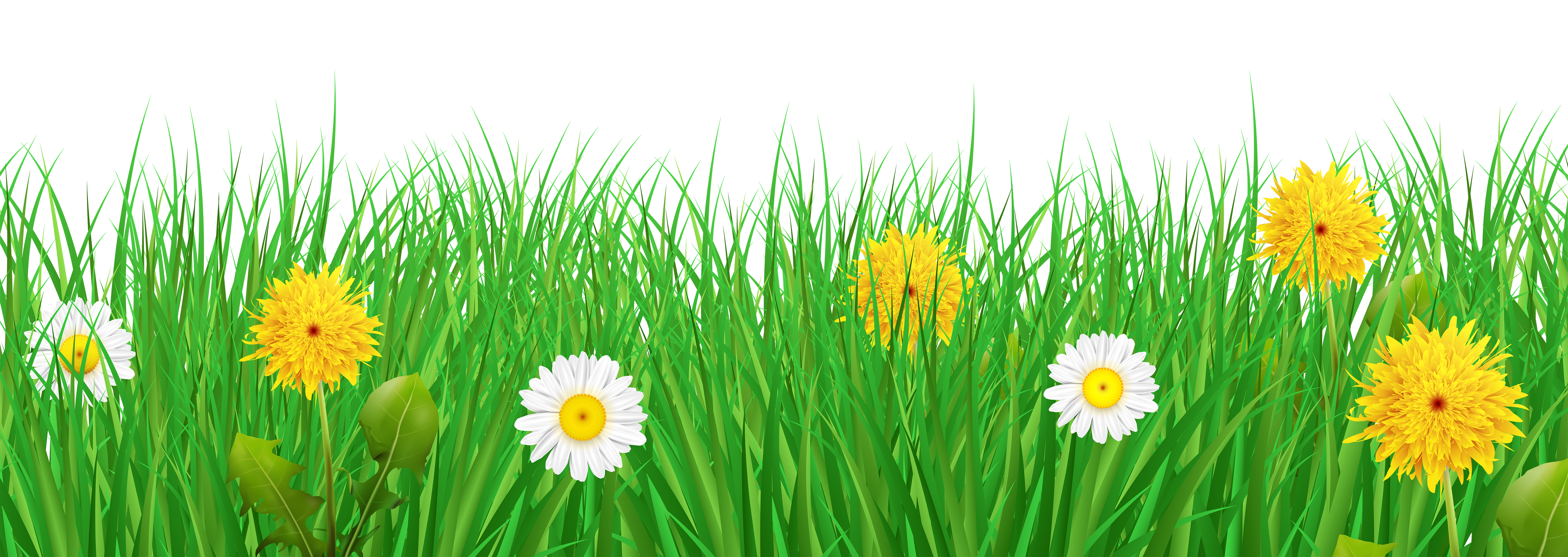 Textured green grass clipart, Spring Easter grass clip art, border, divider  By Pravokrugulnik