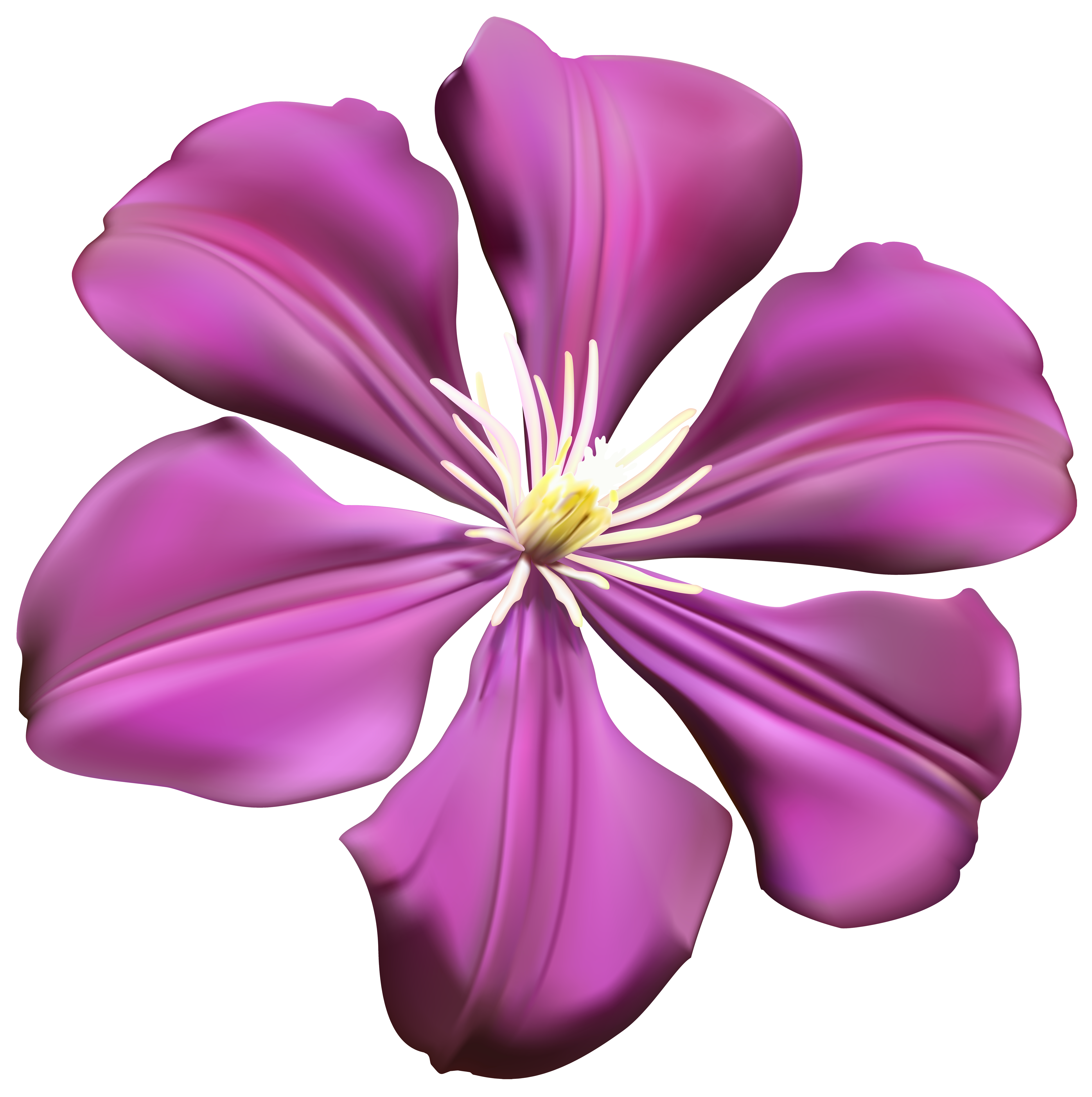 Purple Flower Transparent PNG Clip Art Image​