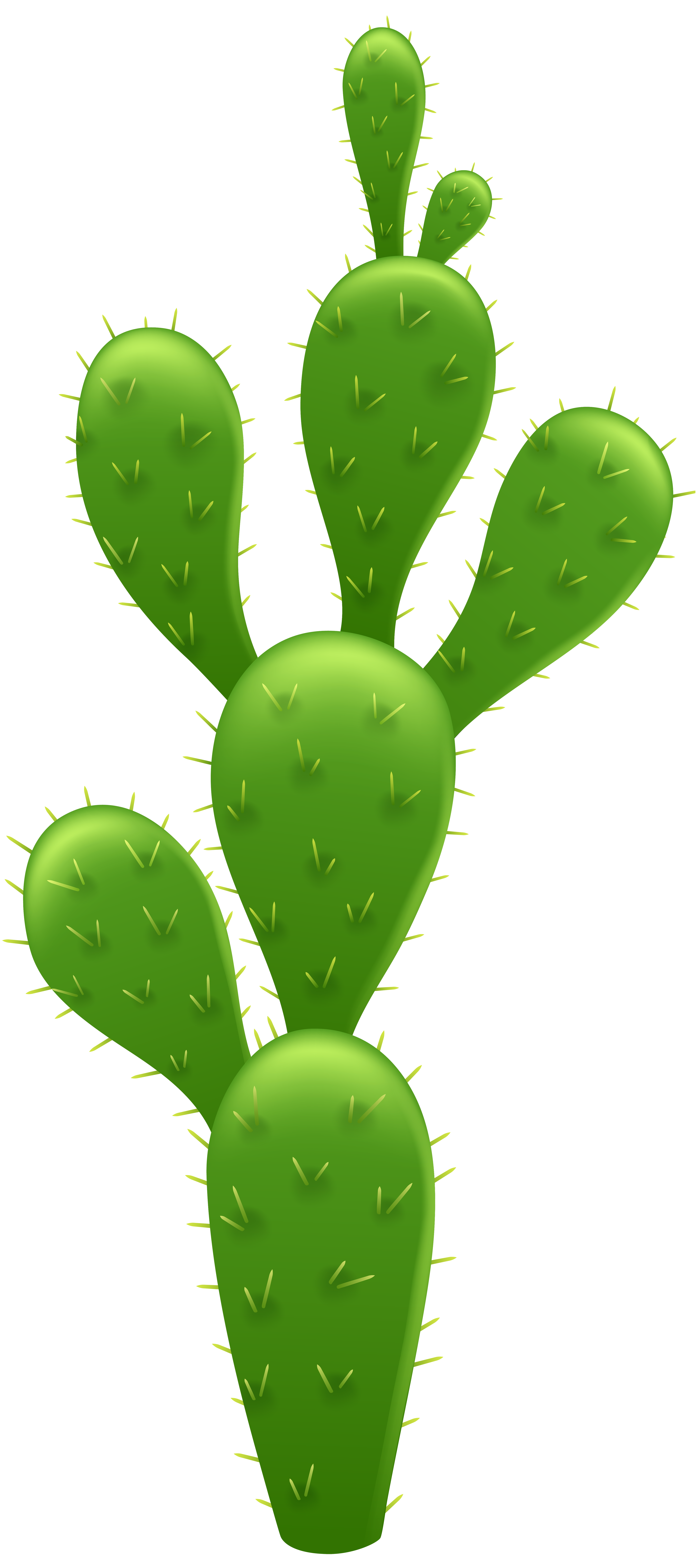 cactus clipart png