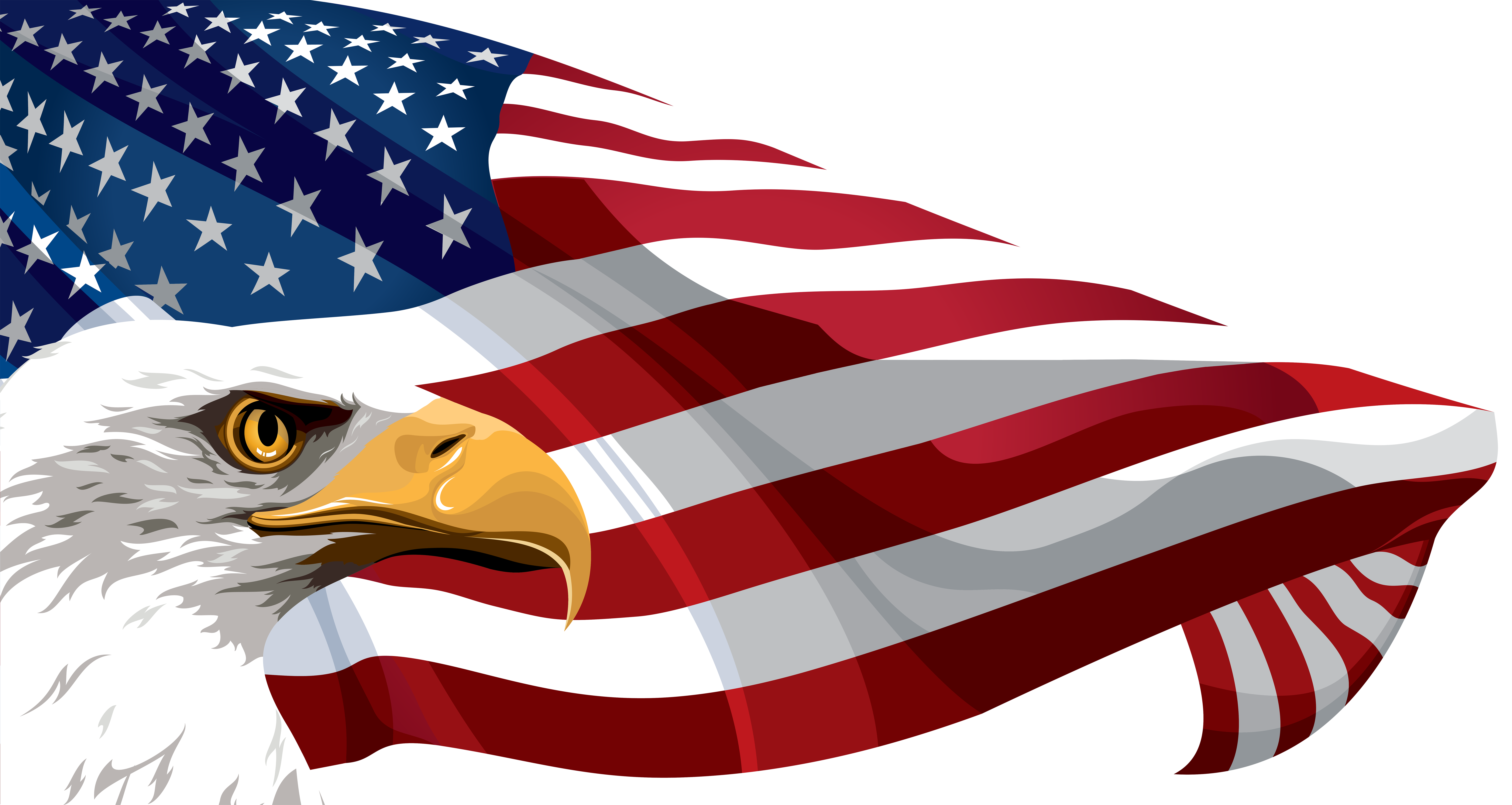 eagle banner clipart