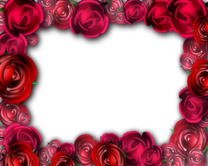 roses frame