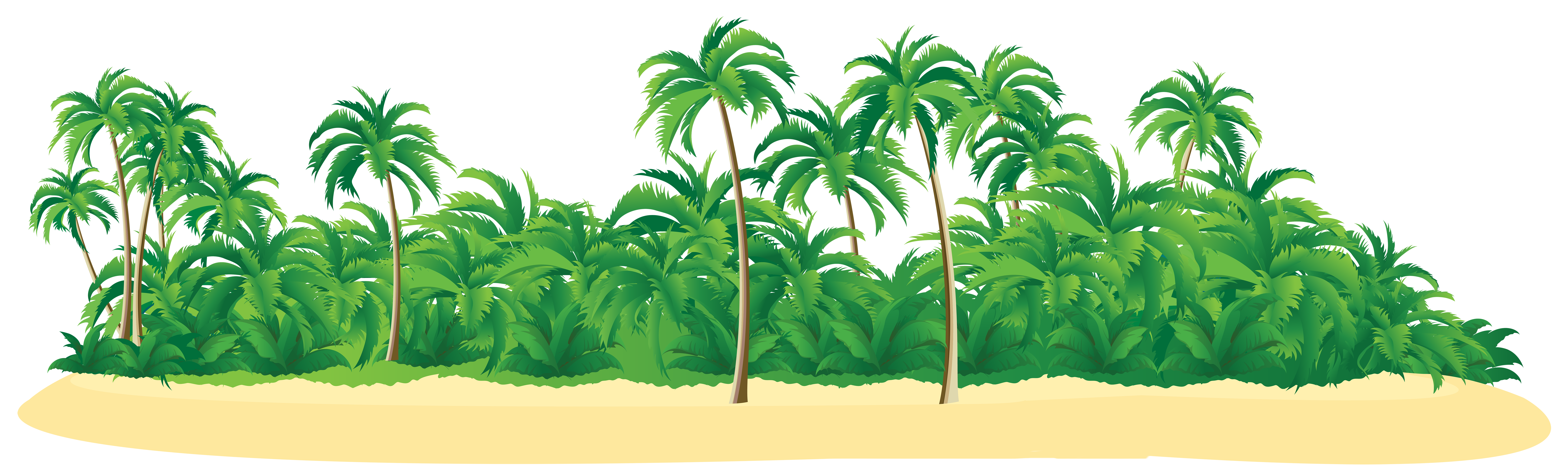 tropical palm tree clipart