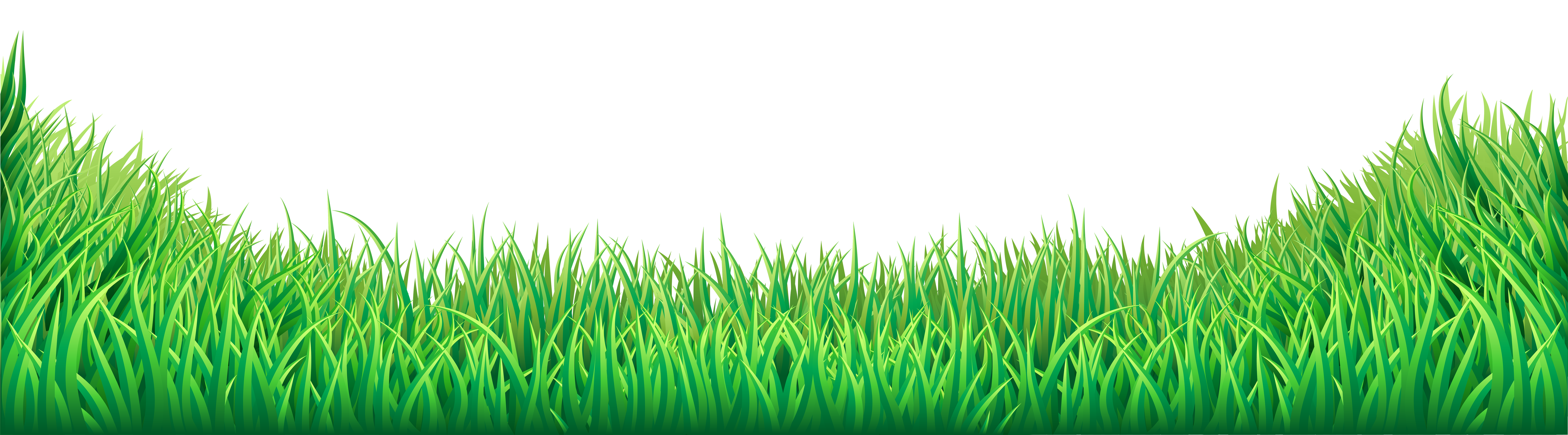 Grass png images