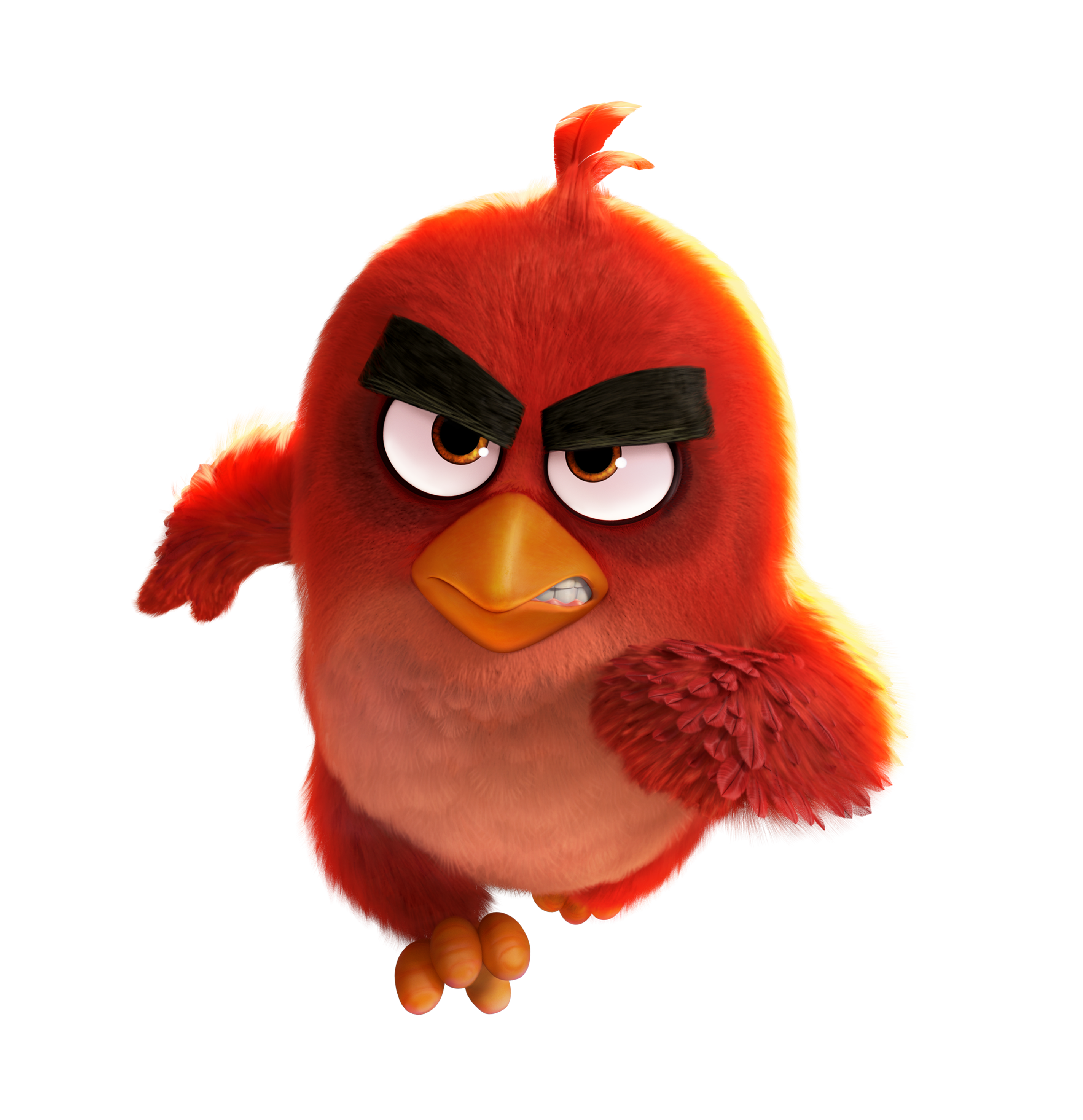 angry birds images red