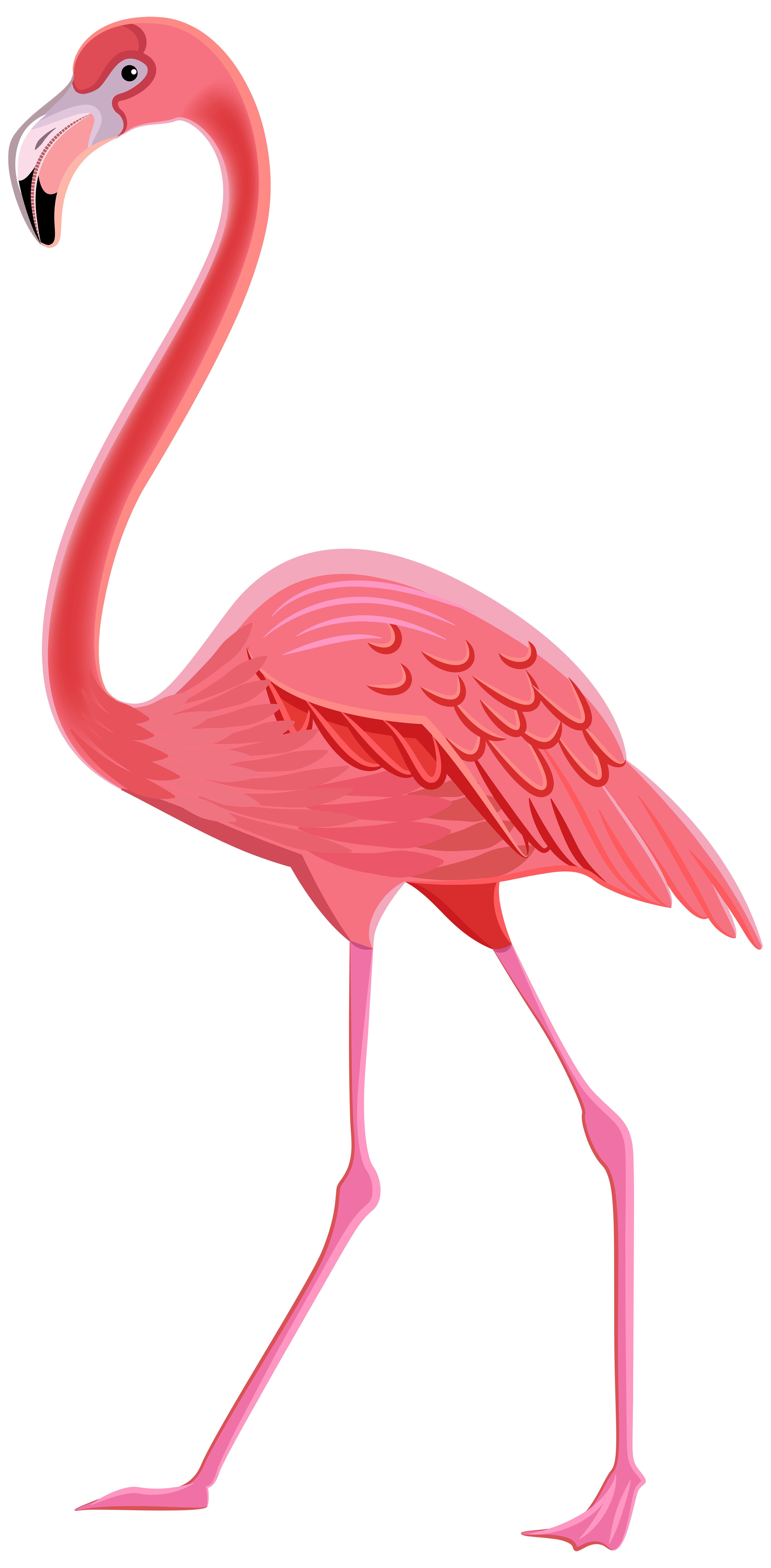 Flamingo ClipArt