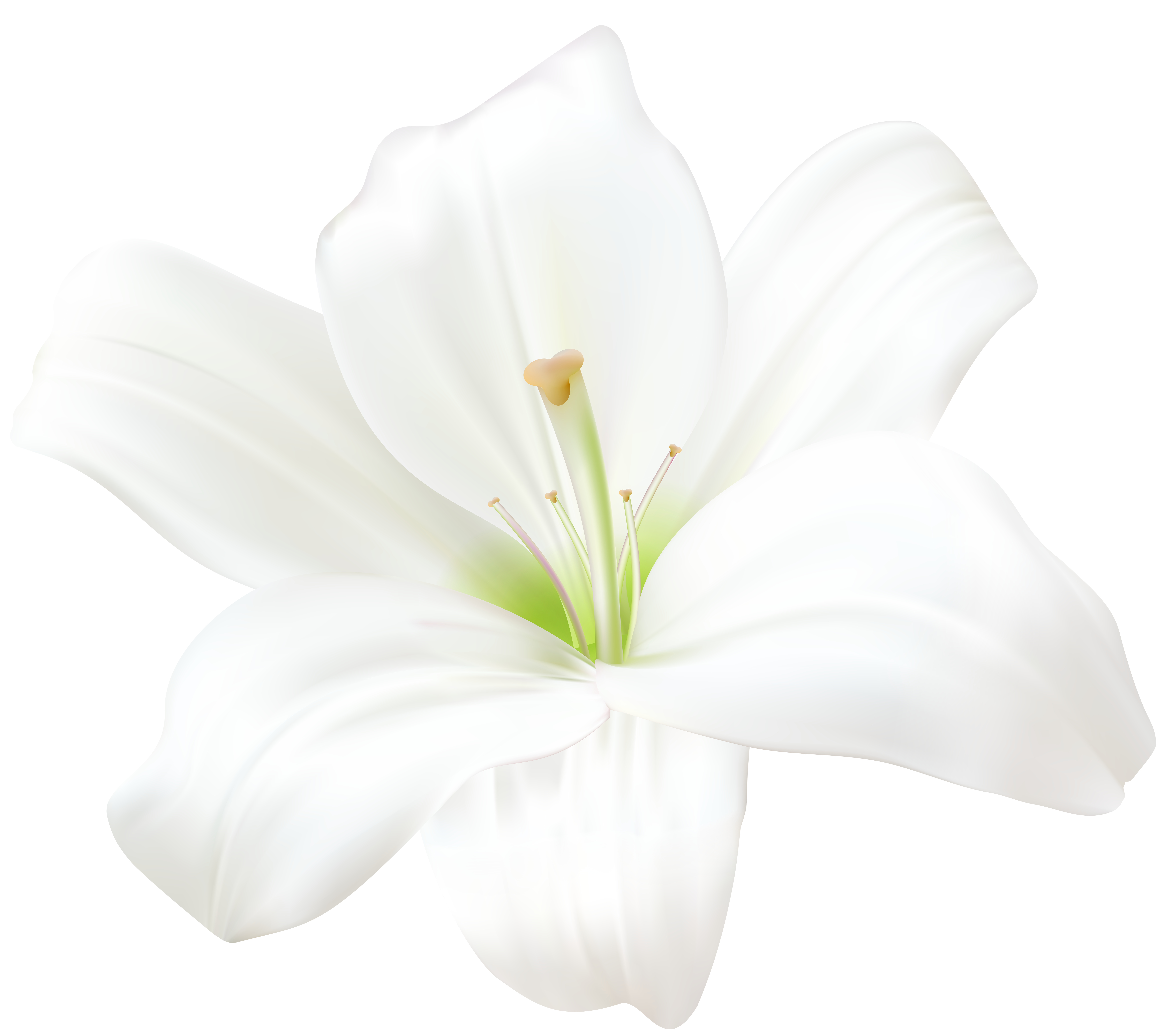 Lily Flower Blue PNG Transparent Clipart​  Gallery Yopriceville -  High-Quality Free Images and Transparent PNG Clipart