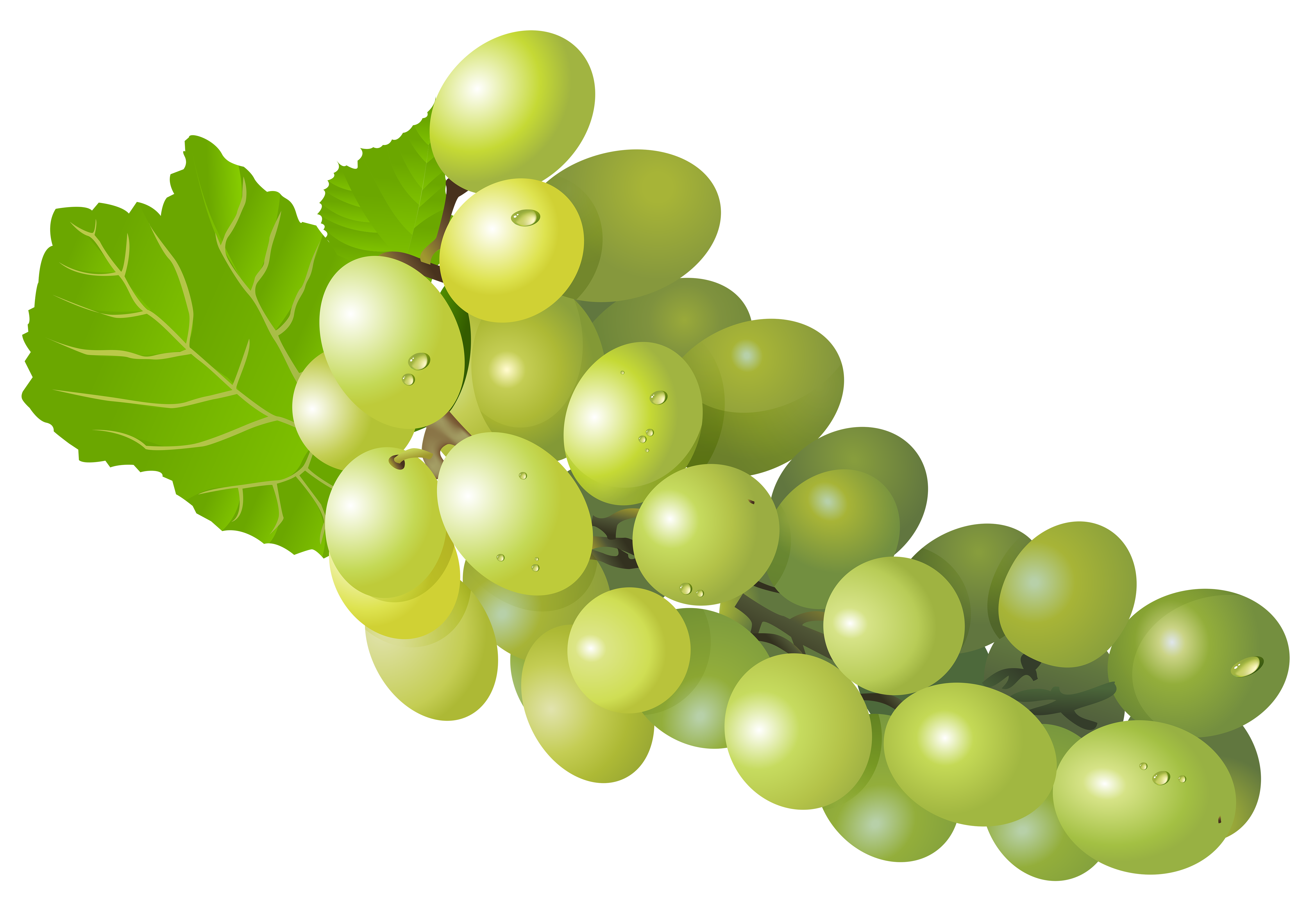 grape png