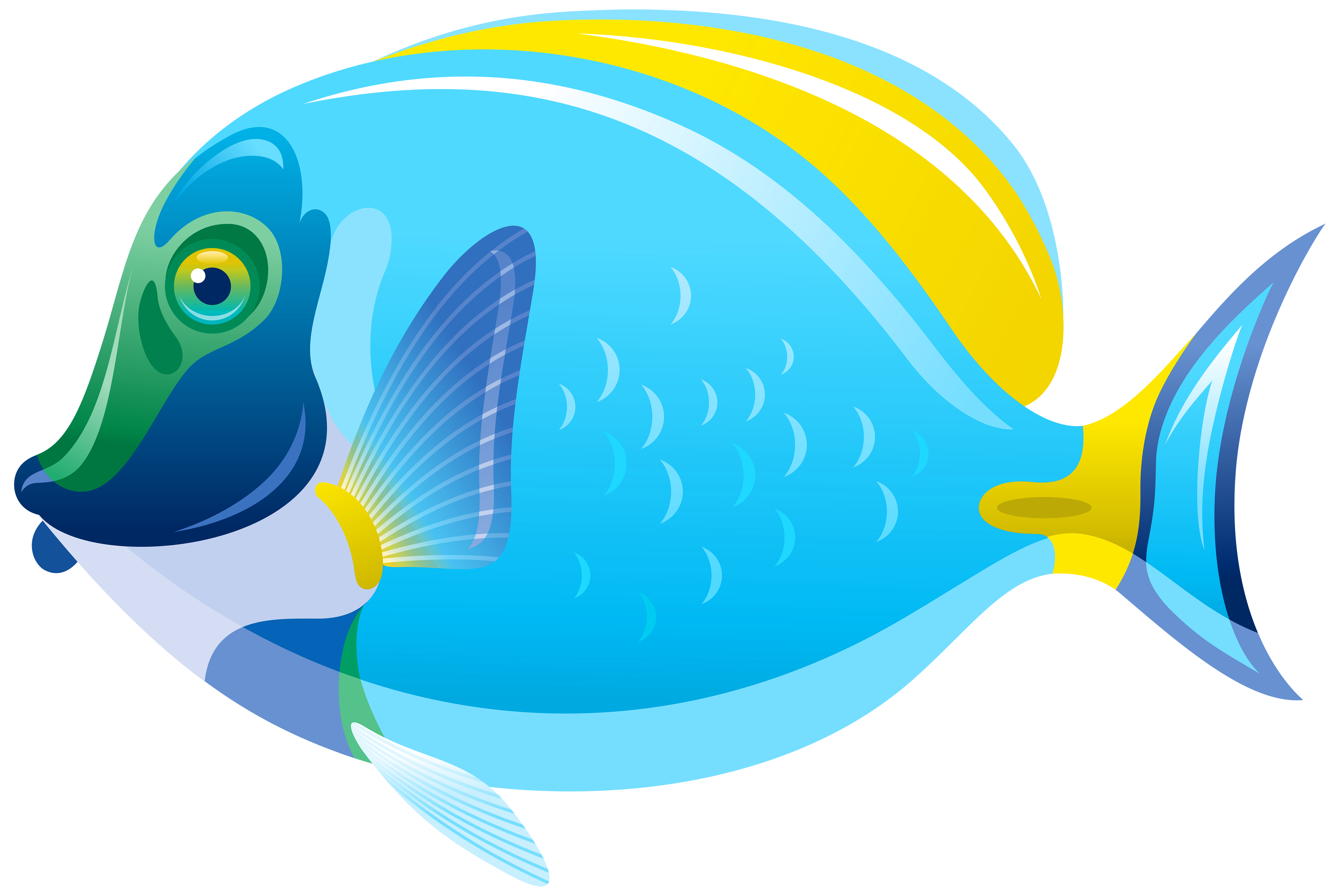 Fish PNG Clip Art Image​  Gallery Yopriceville - High-Quality