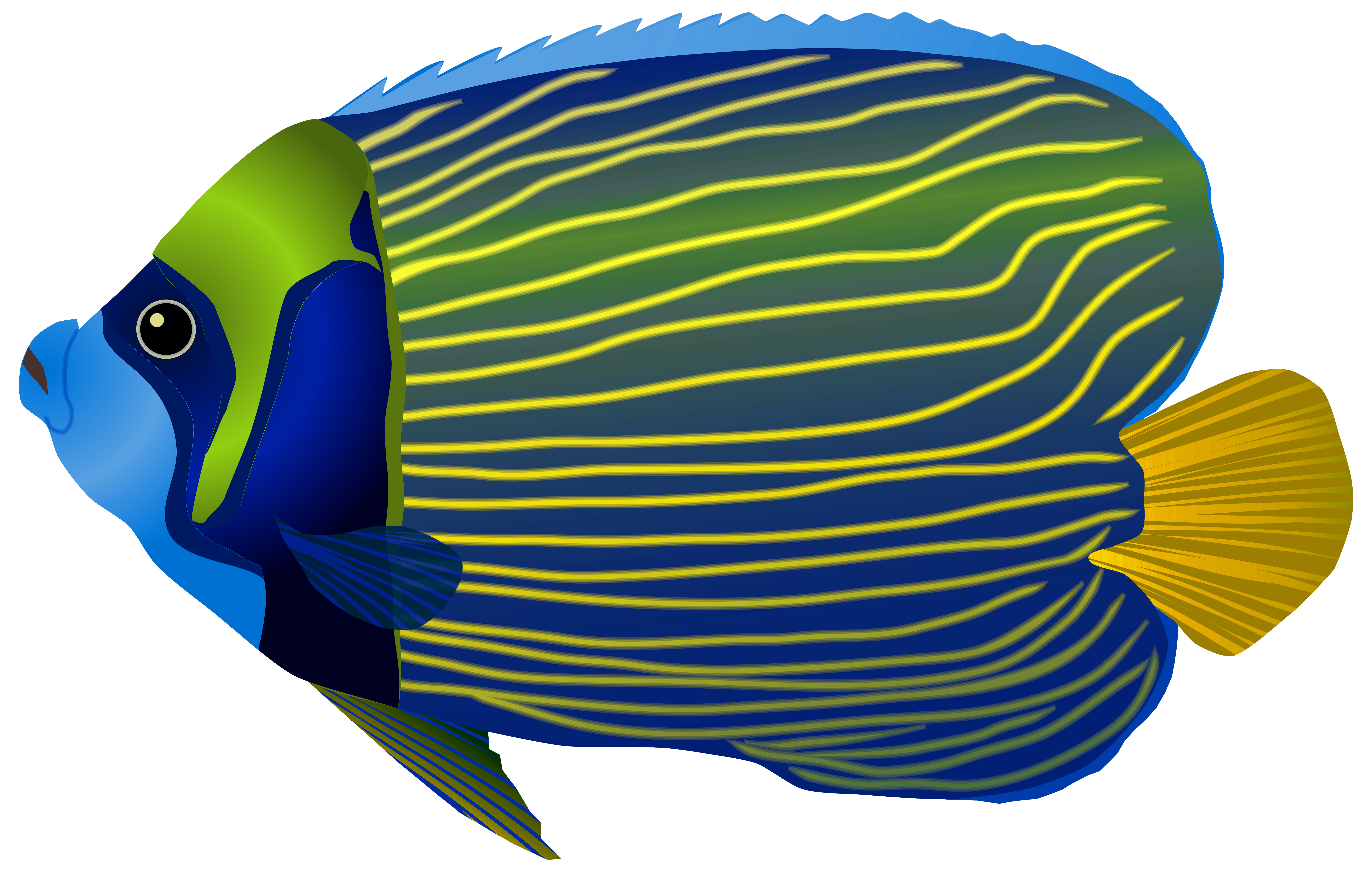 Blue Fish PNG Clip Art Image​  Gallery Yopriceville - High