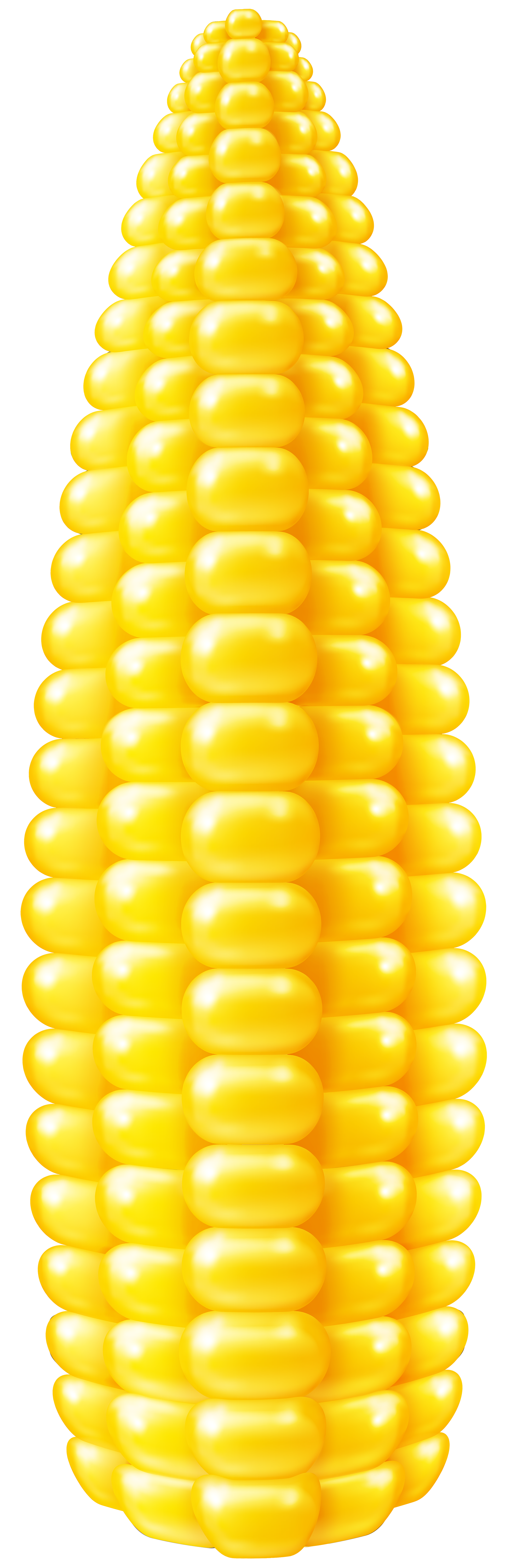 Corn PNG Clip Art Image​ | Gallery Yopriceville - High-Quality Free Images  and Transparent PNG Clipart