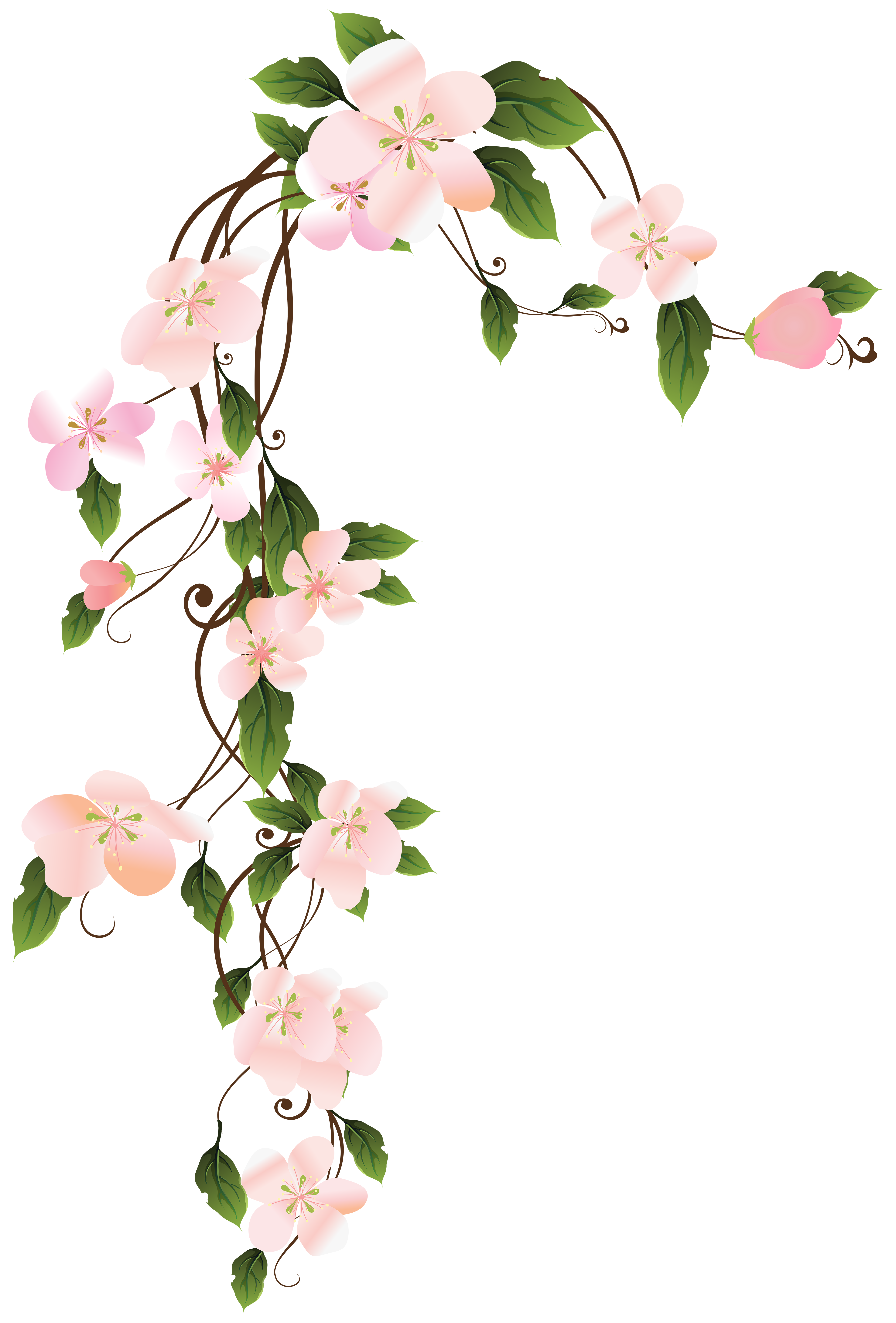 pliant clipart flower