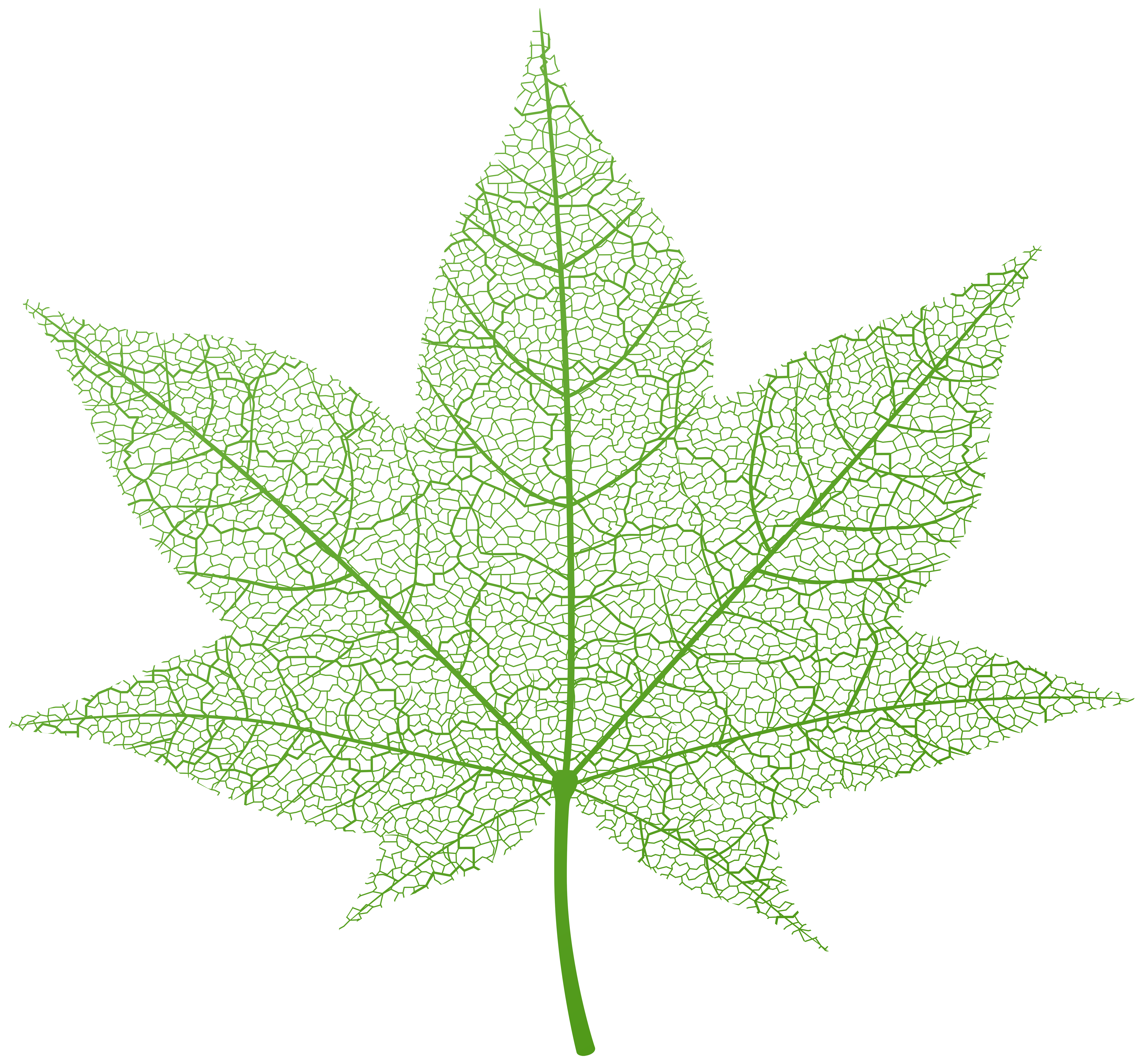 Maple Leaf Green PNG Clip Art Image​ Gallery Yopriceville - High