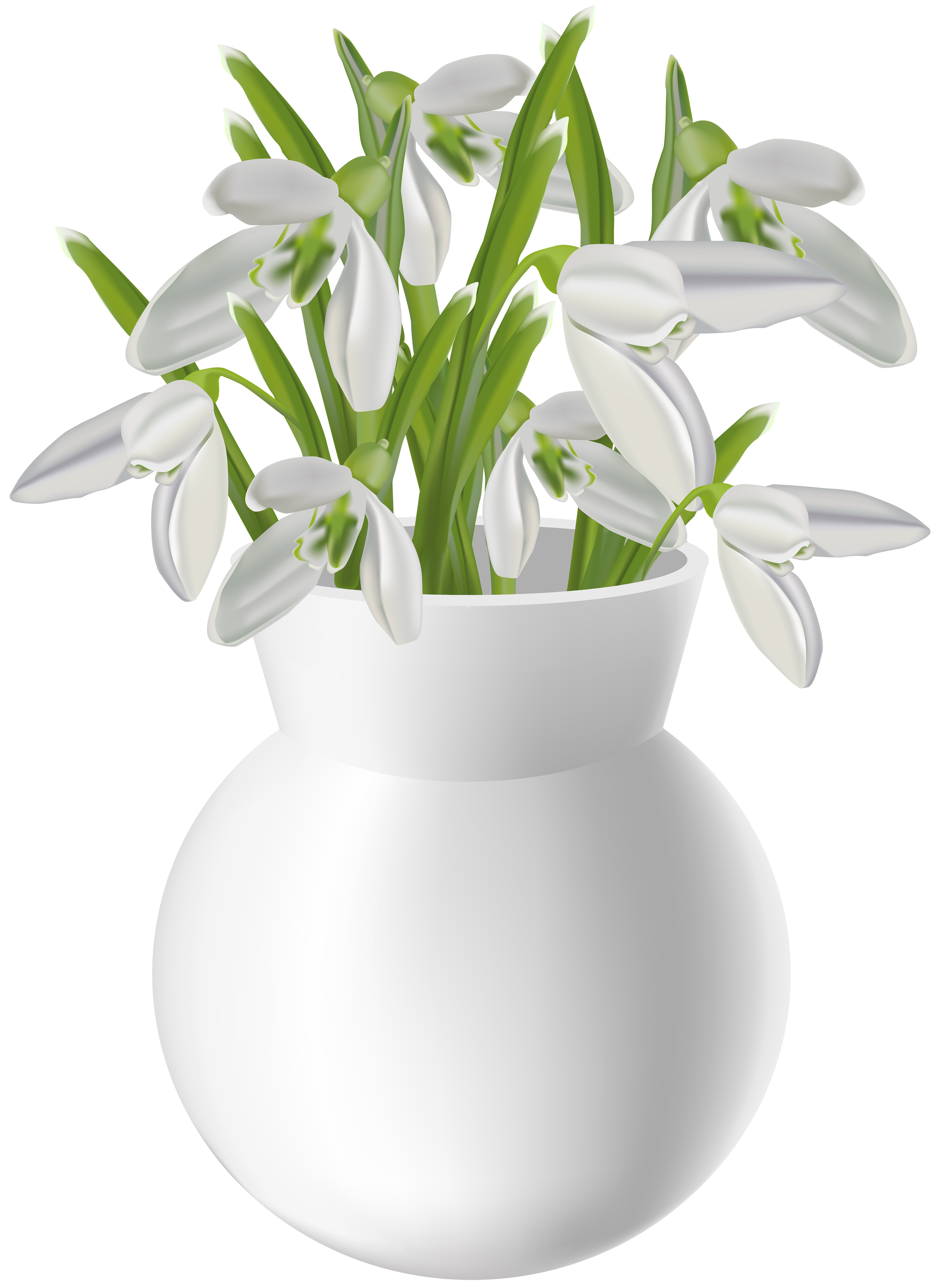 Vase with Snowdrops Transparent PNG Clip Art Image​ | Gallery Yopriceville  - High-Quality Free Images and Transparent PNG Clipart