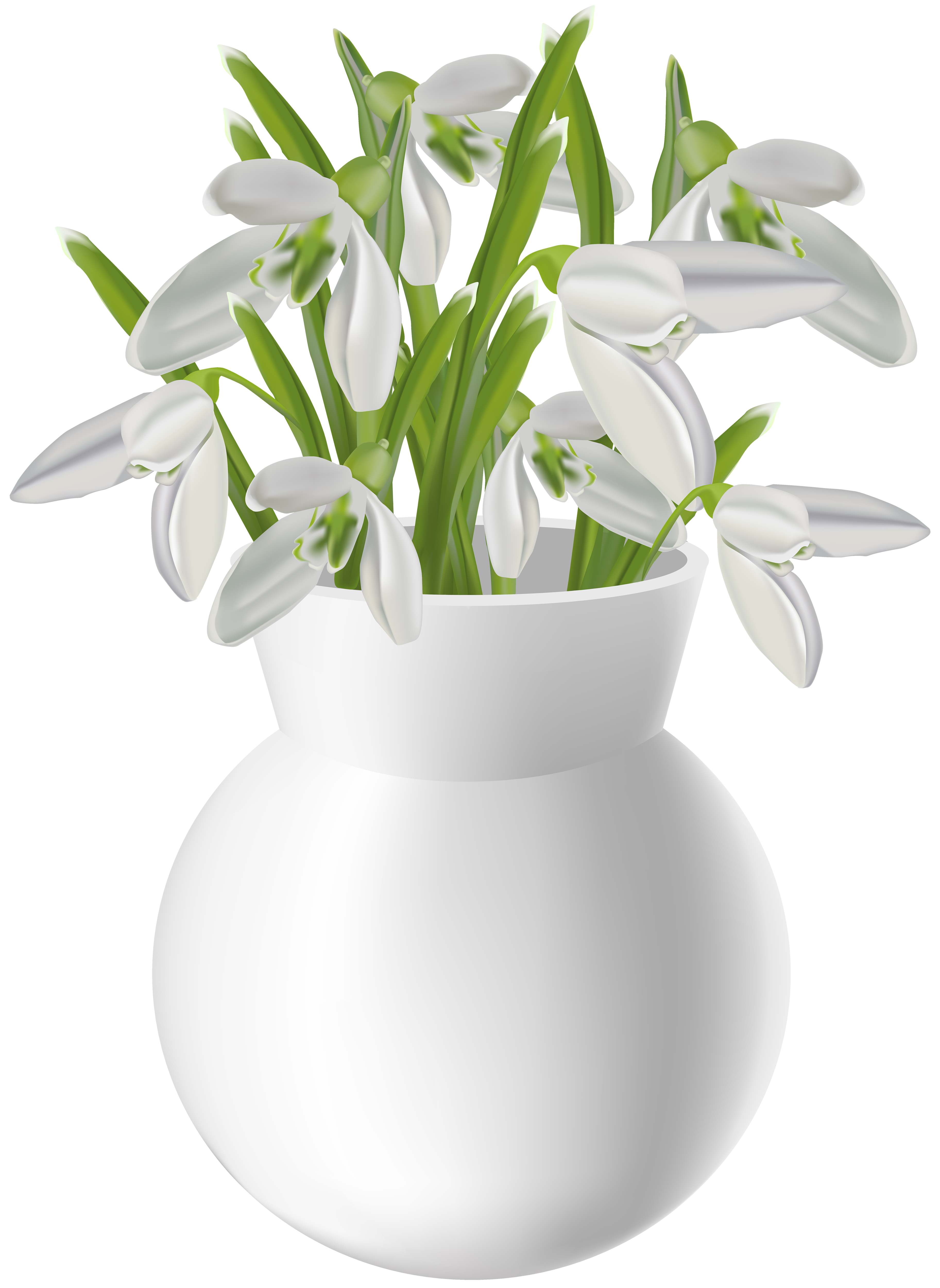 flower vase on table clipart