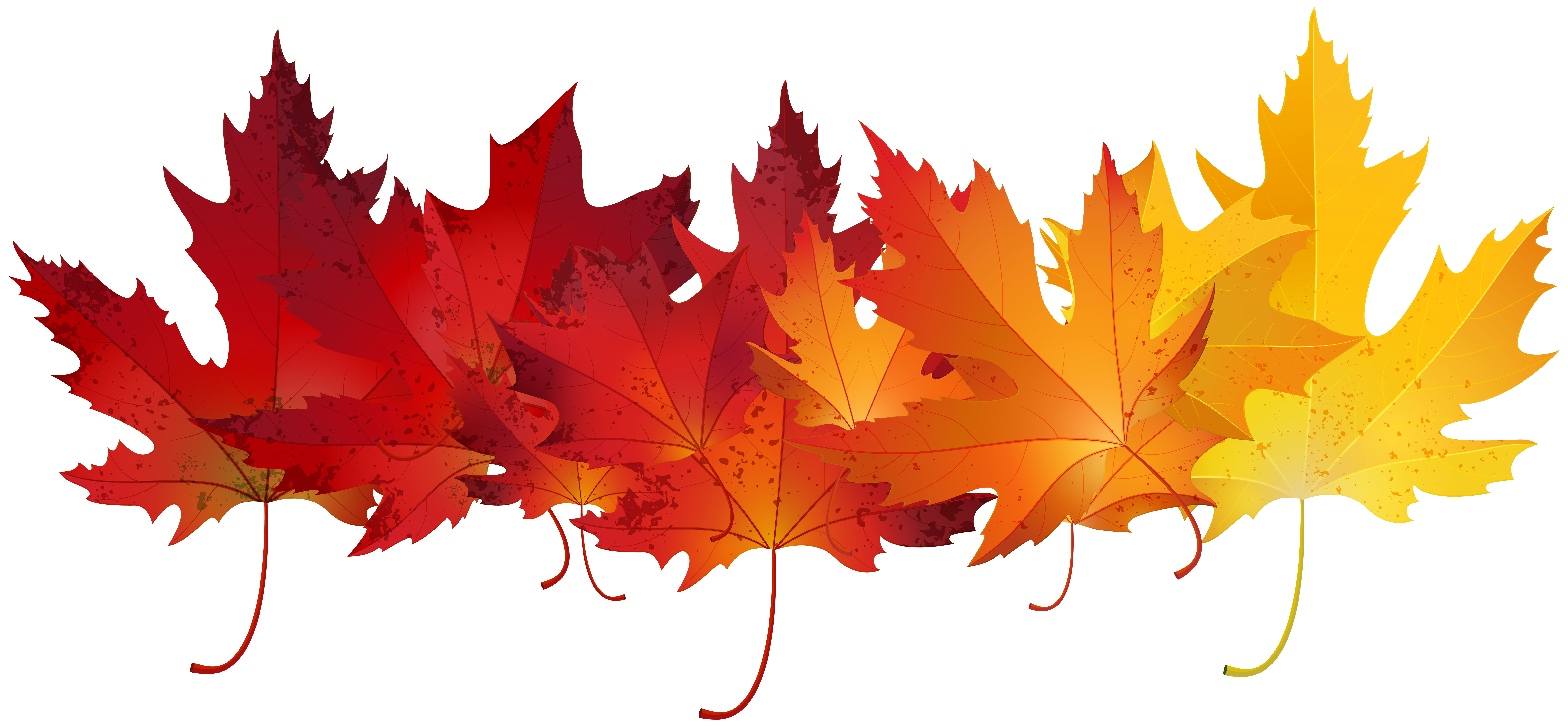 red leaf clip art