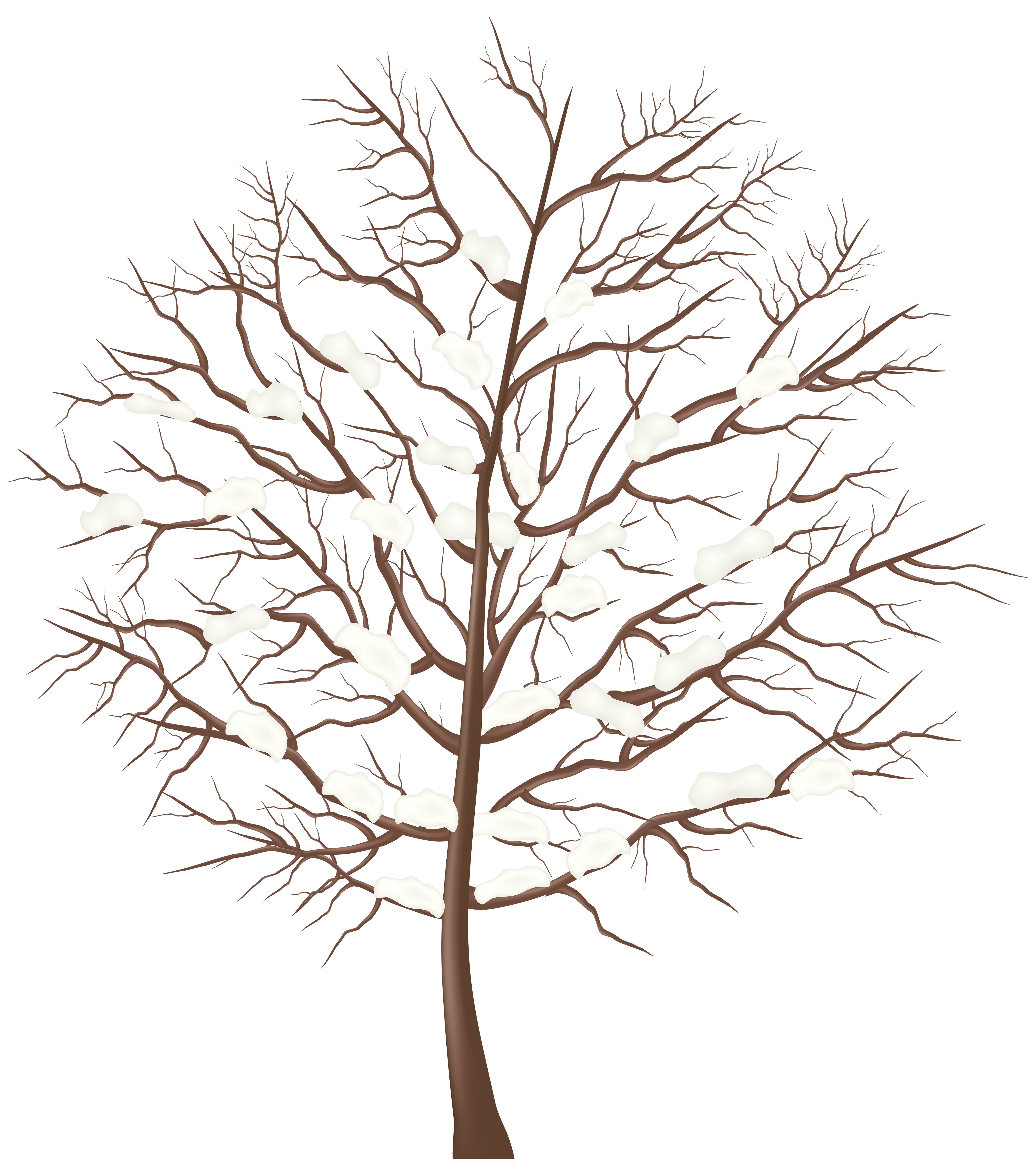 Winter tree clipart. Free download transparent .PNG