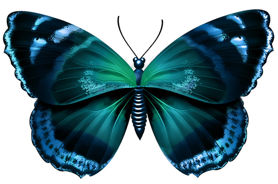 blue butterfly transparent background