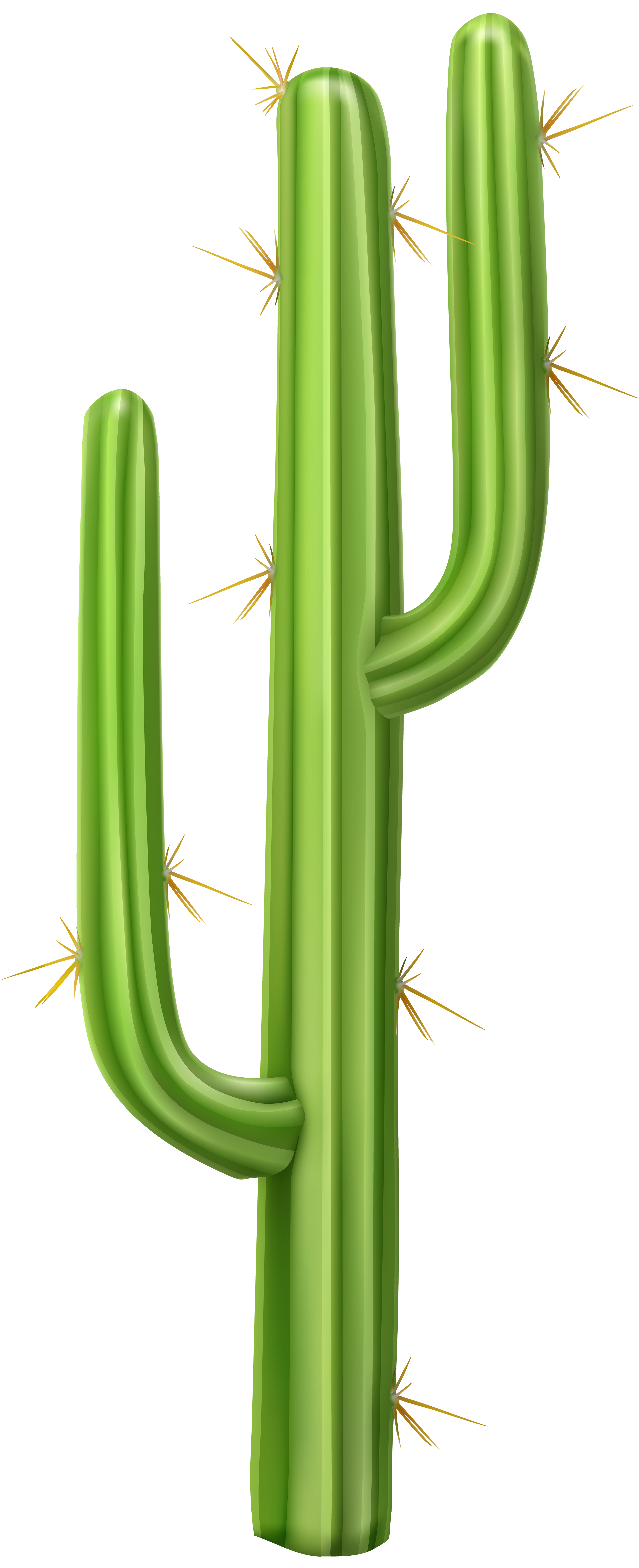 Cactus png images