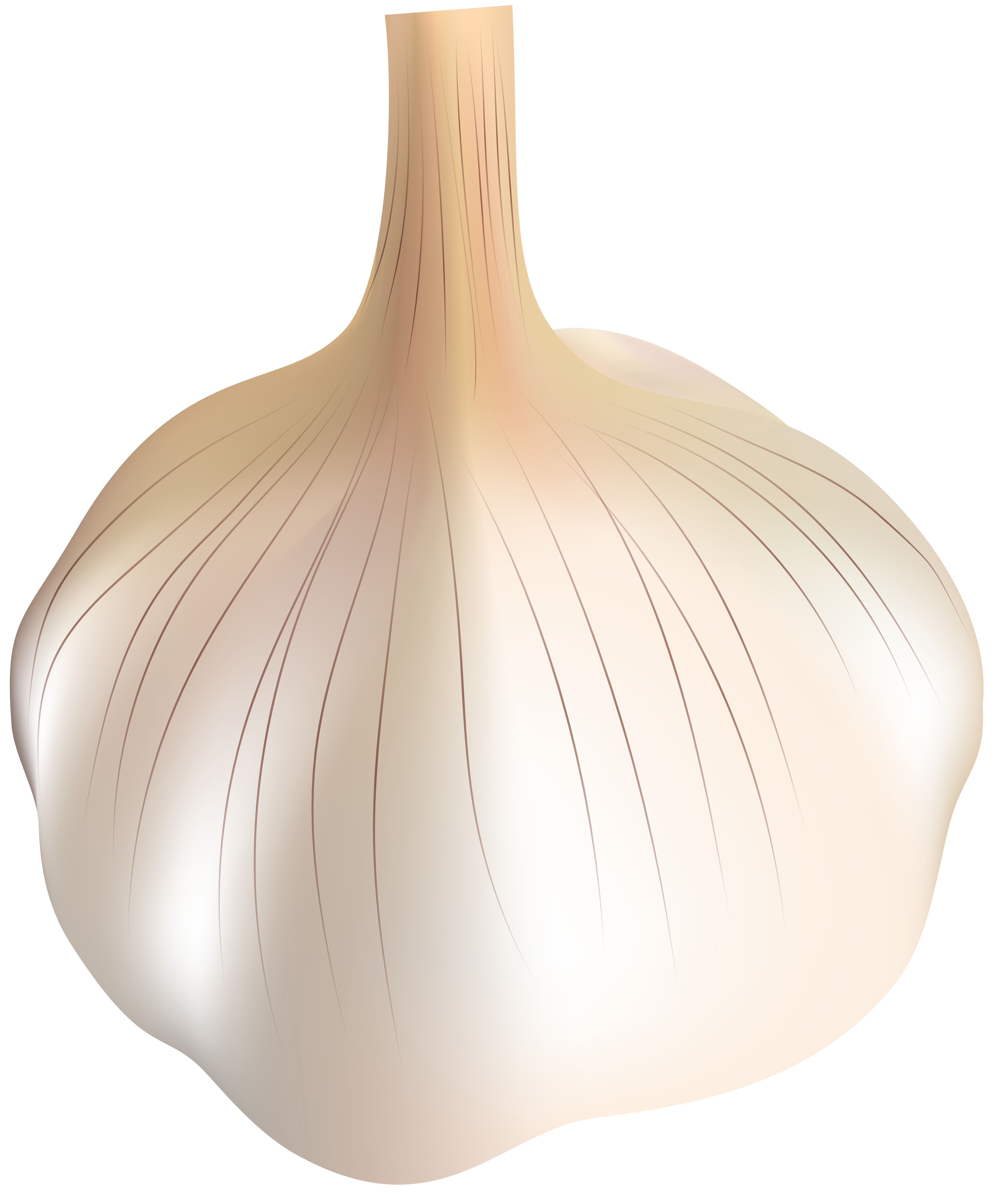 garlic png