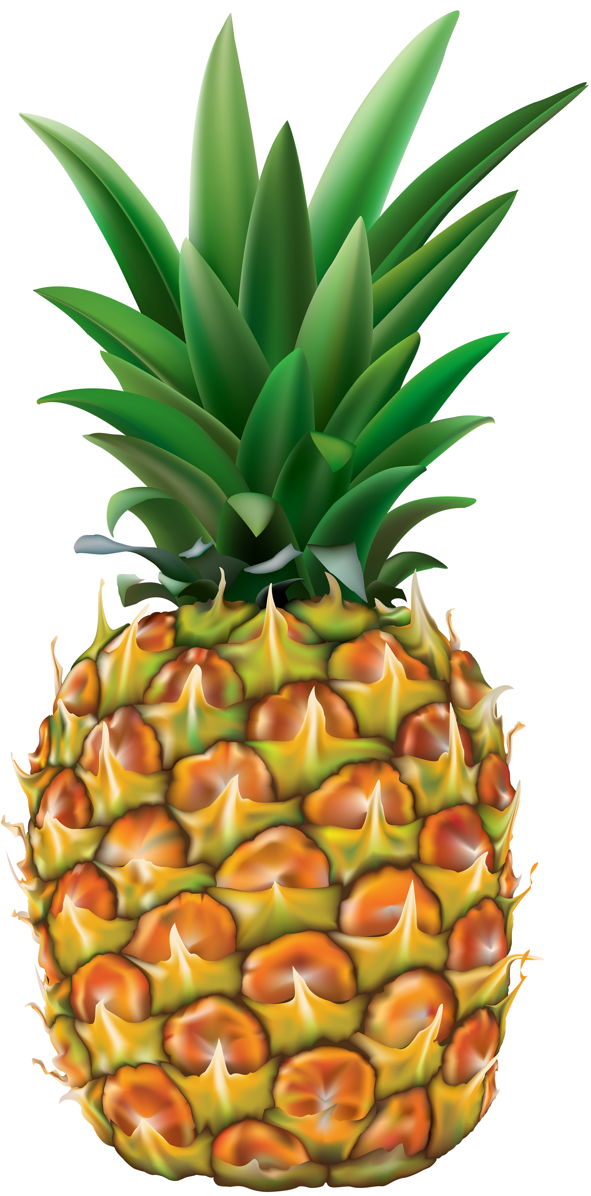 pineapple transparent