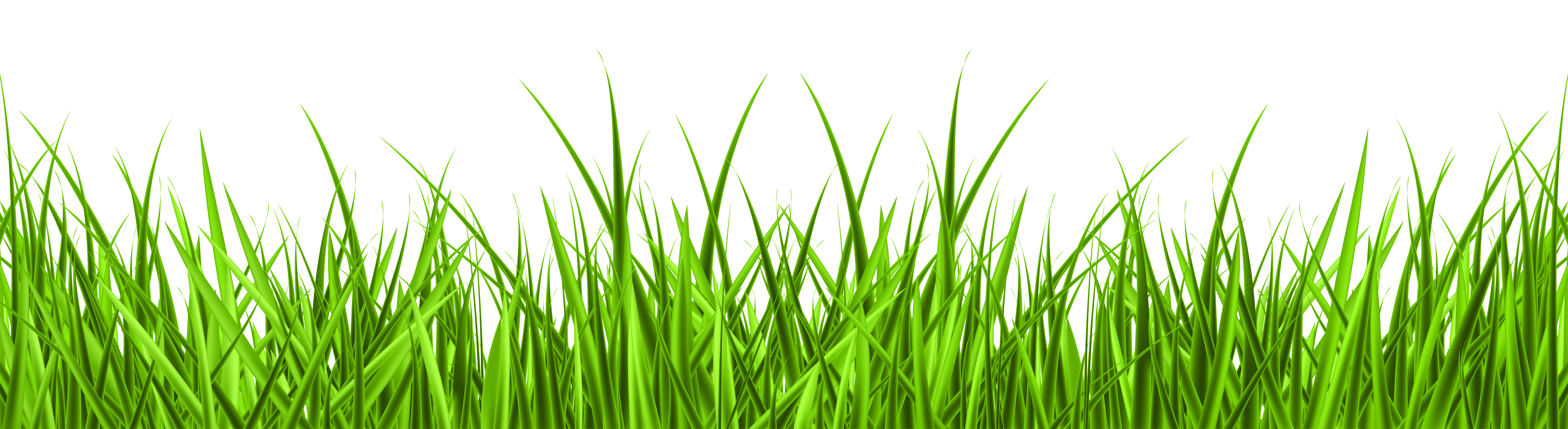 Grass png images