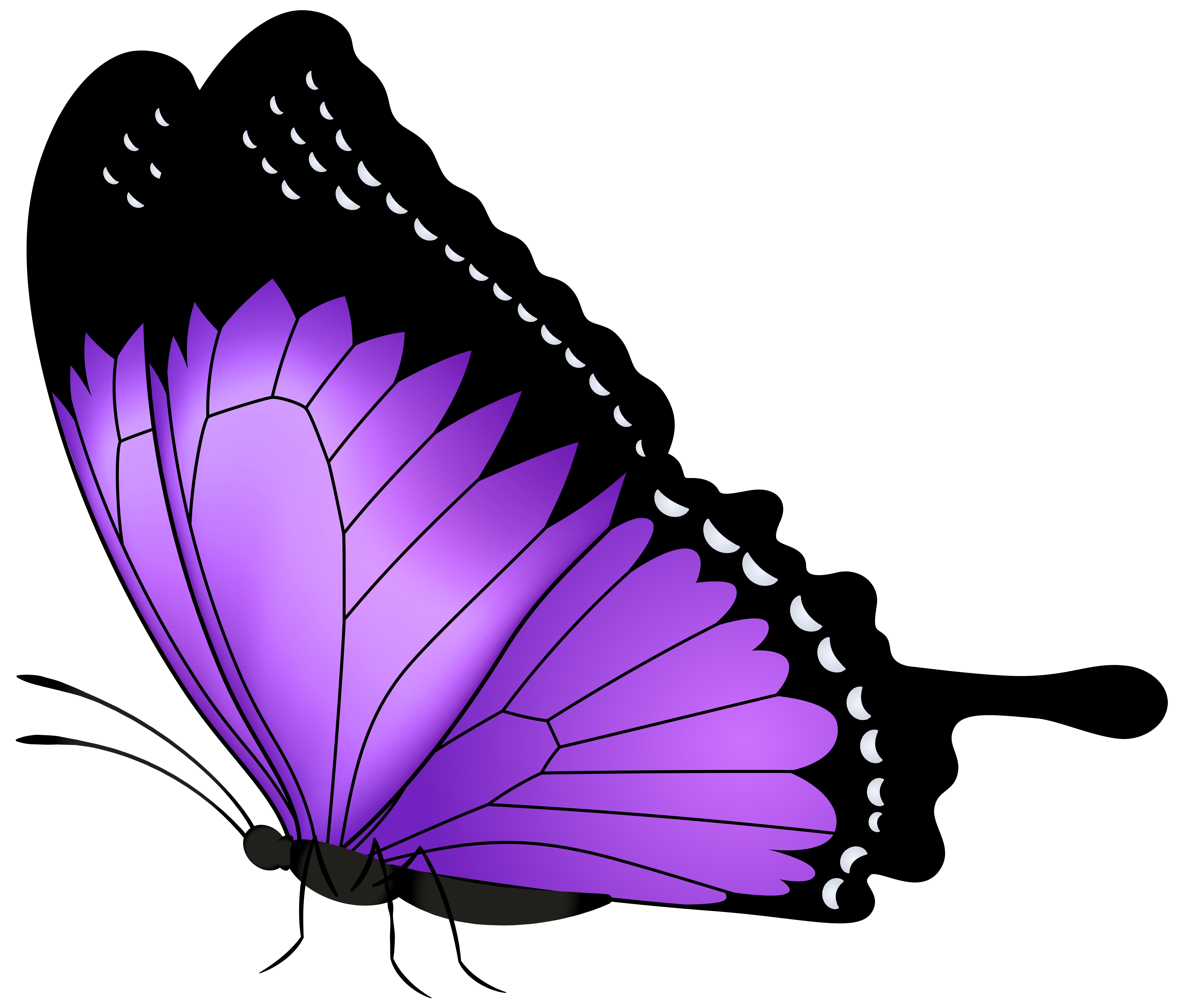 cartoon purple butterfly