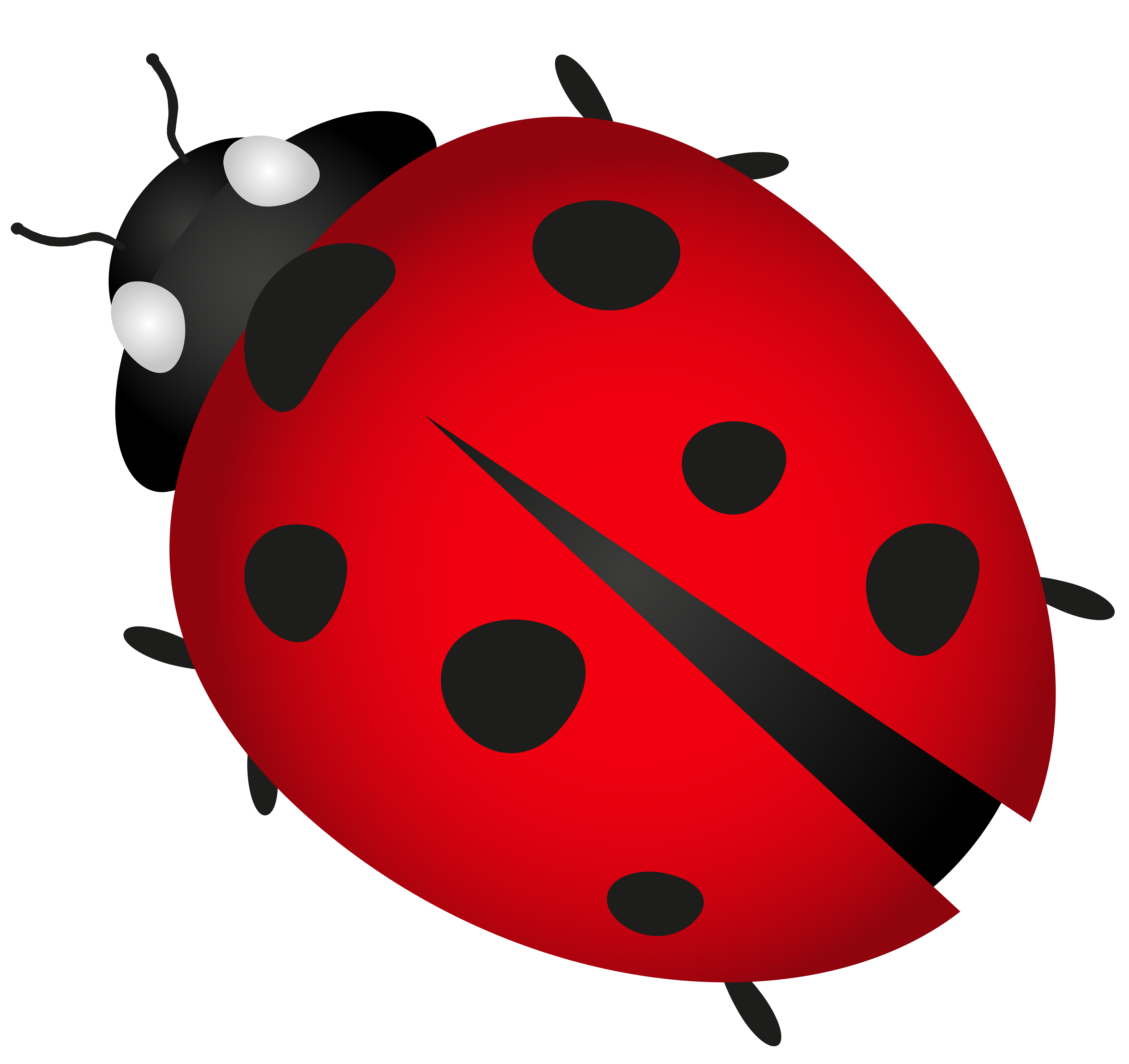 Ladybug Transparent PNG Clip Art Image​  Gallery Yopriceville -  High-Quality Free Images and Transparent PNG Clipart