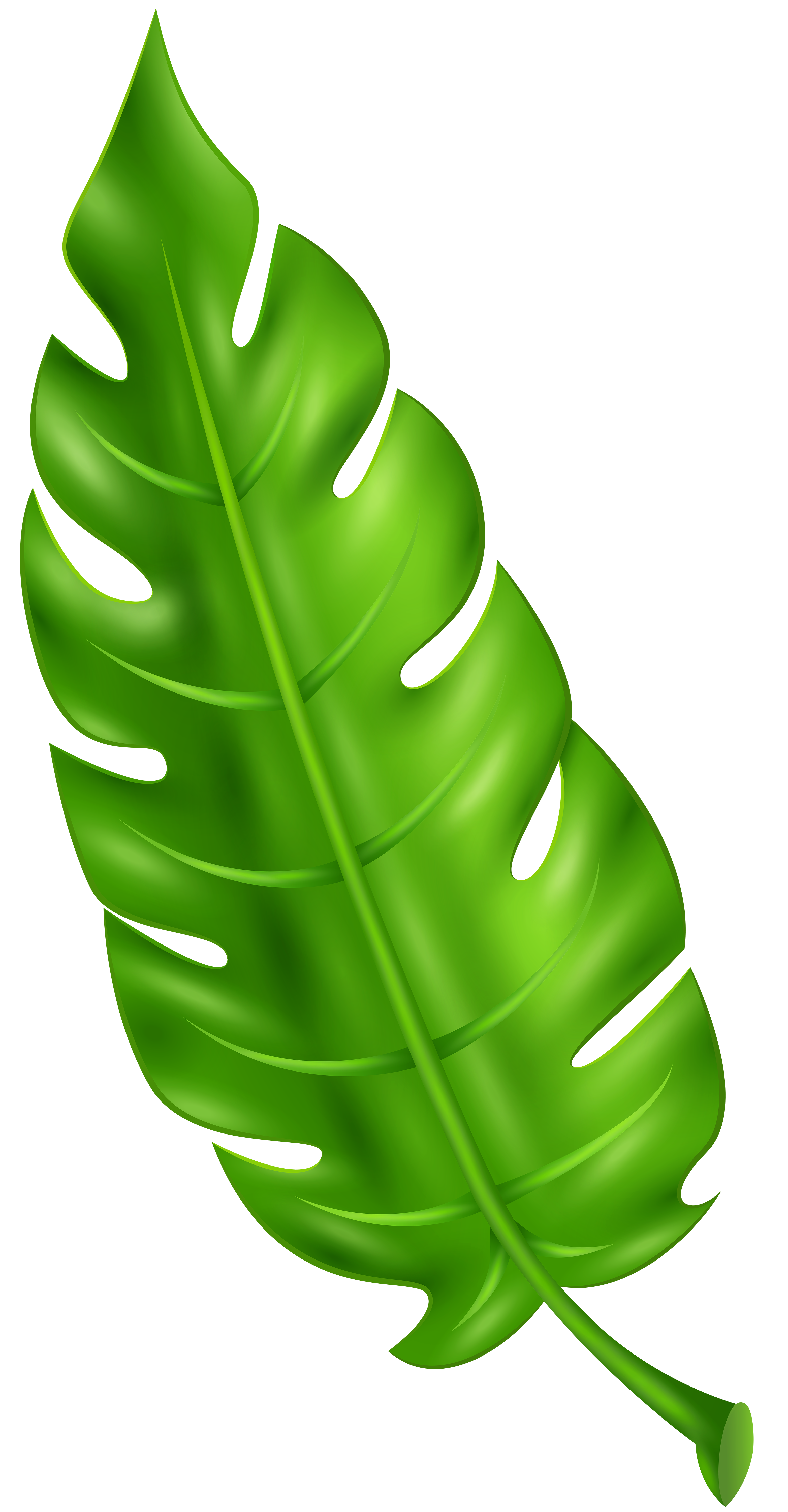 Green Leaf Transparent Clipart​  Gallery Yopriceville - High-Quality Free  Images and Transparent PNG Clipart