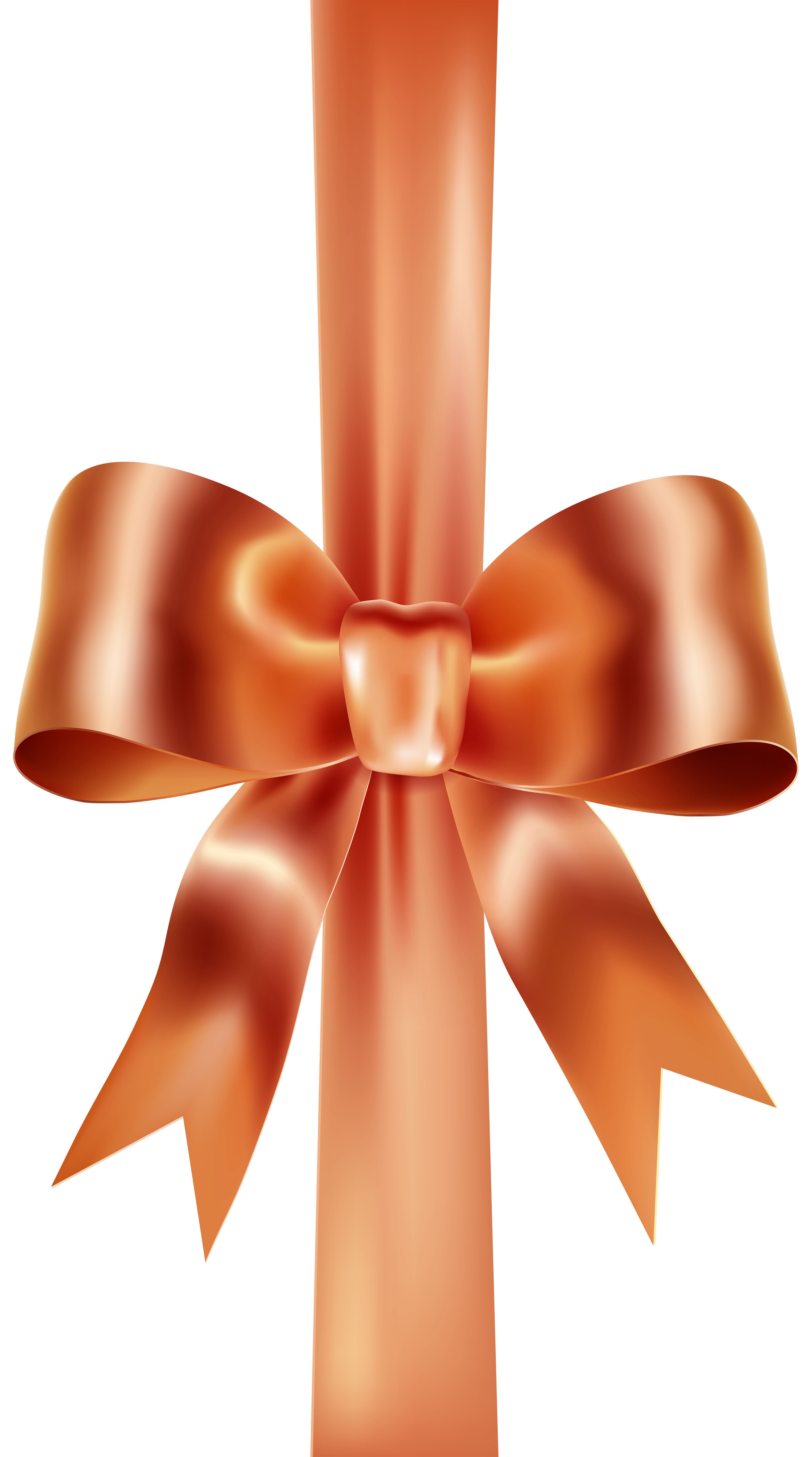 Beautiful bows from orange ribbon on transparent background PNG.png -  Similar PNG