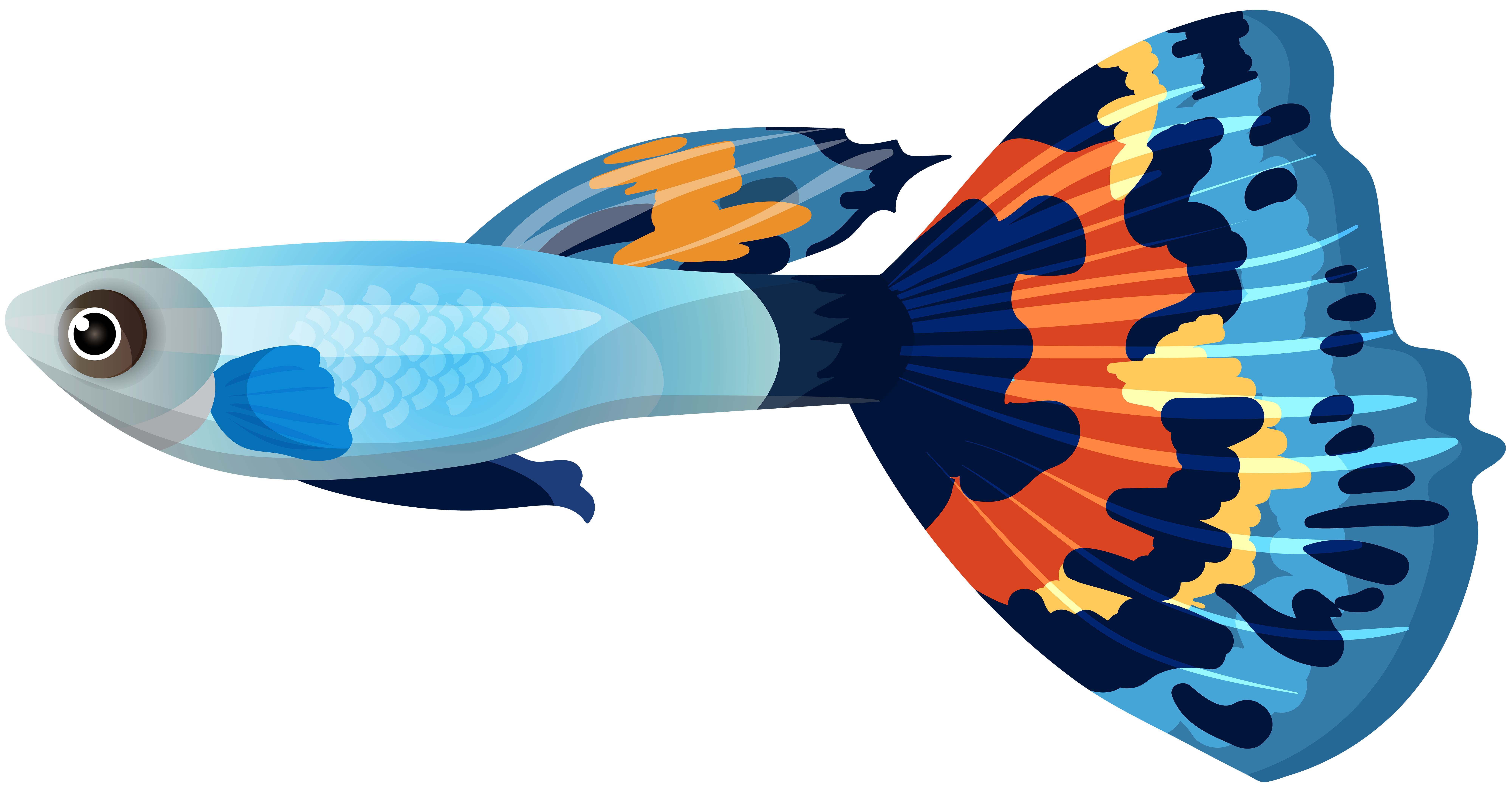 Fish PNG Clip Art Image​  Gallery Yopriceville - High-Quality