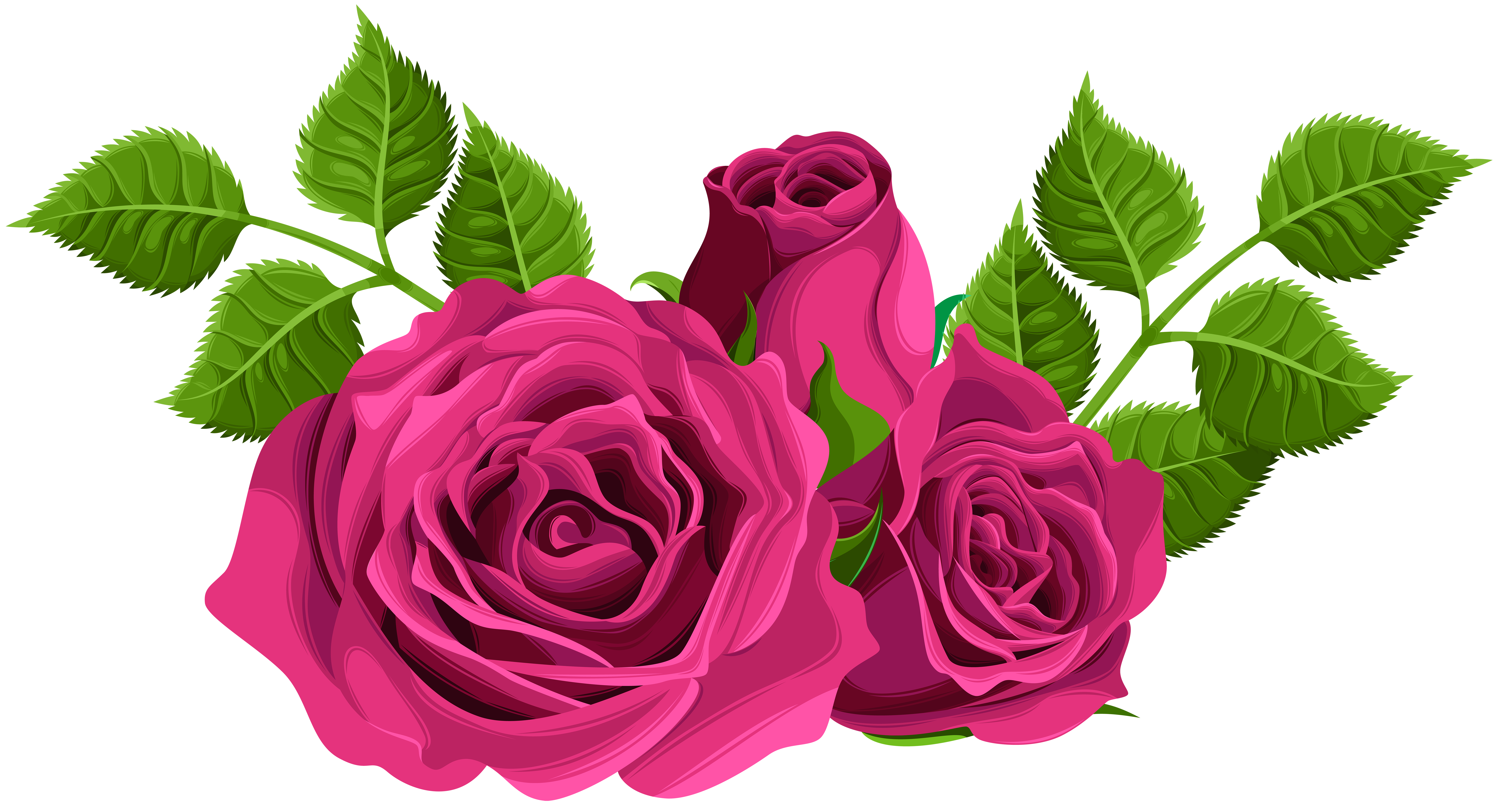 Pink Background with Pink Roses​  Gallery Yopriceville - High-Quality Free  Images and Transparent PNG Clipart