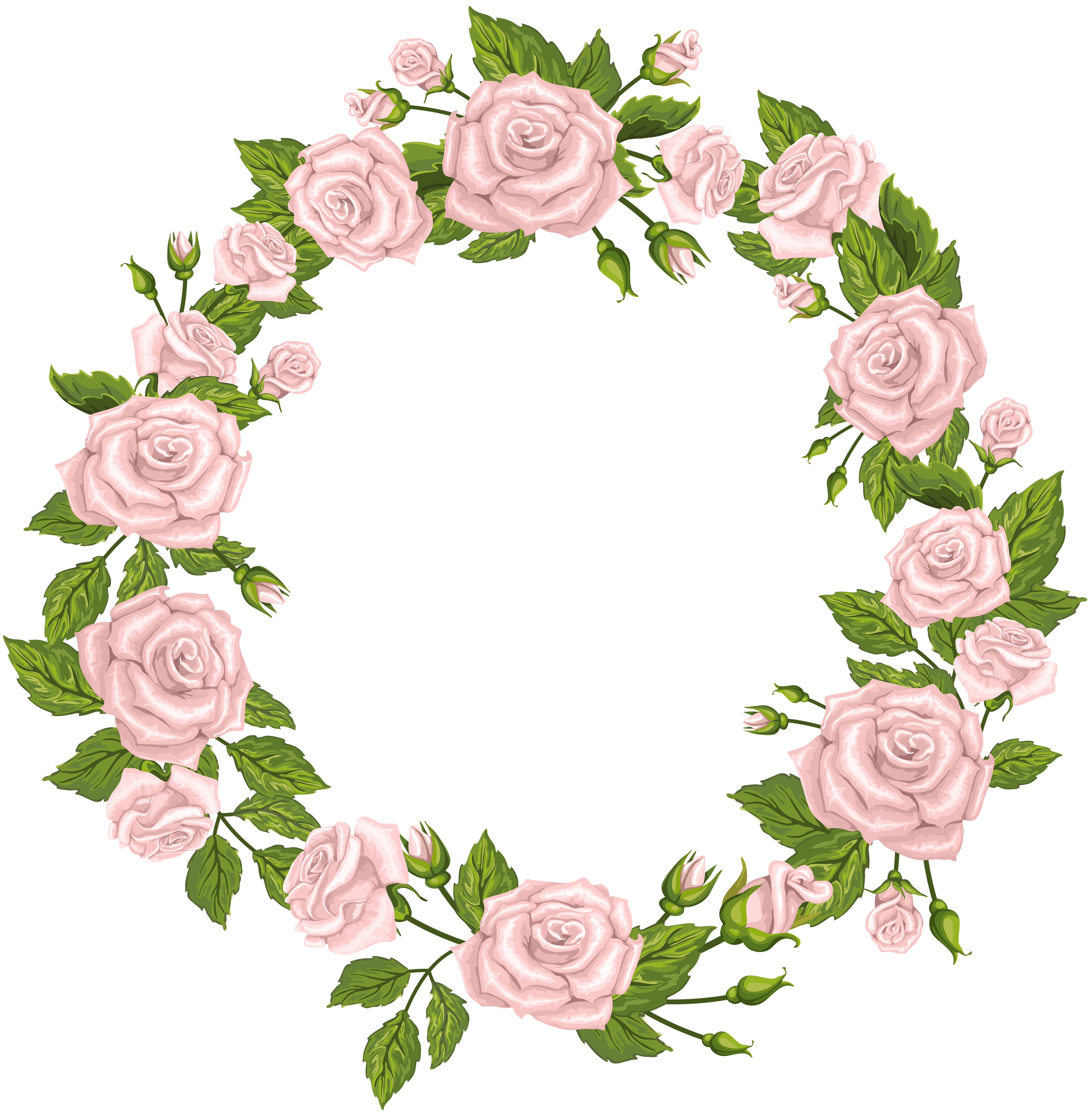 pink roses border