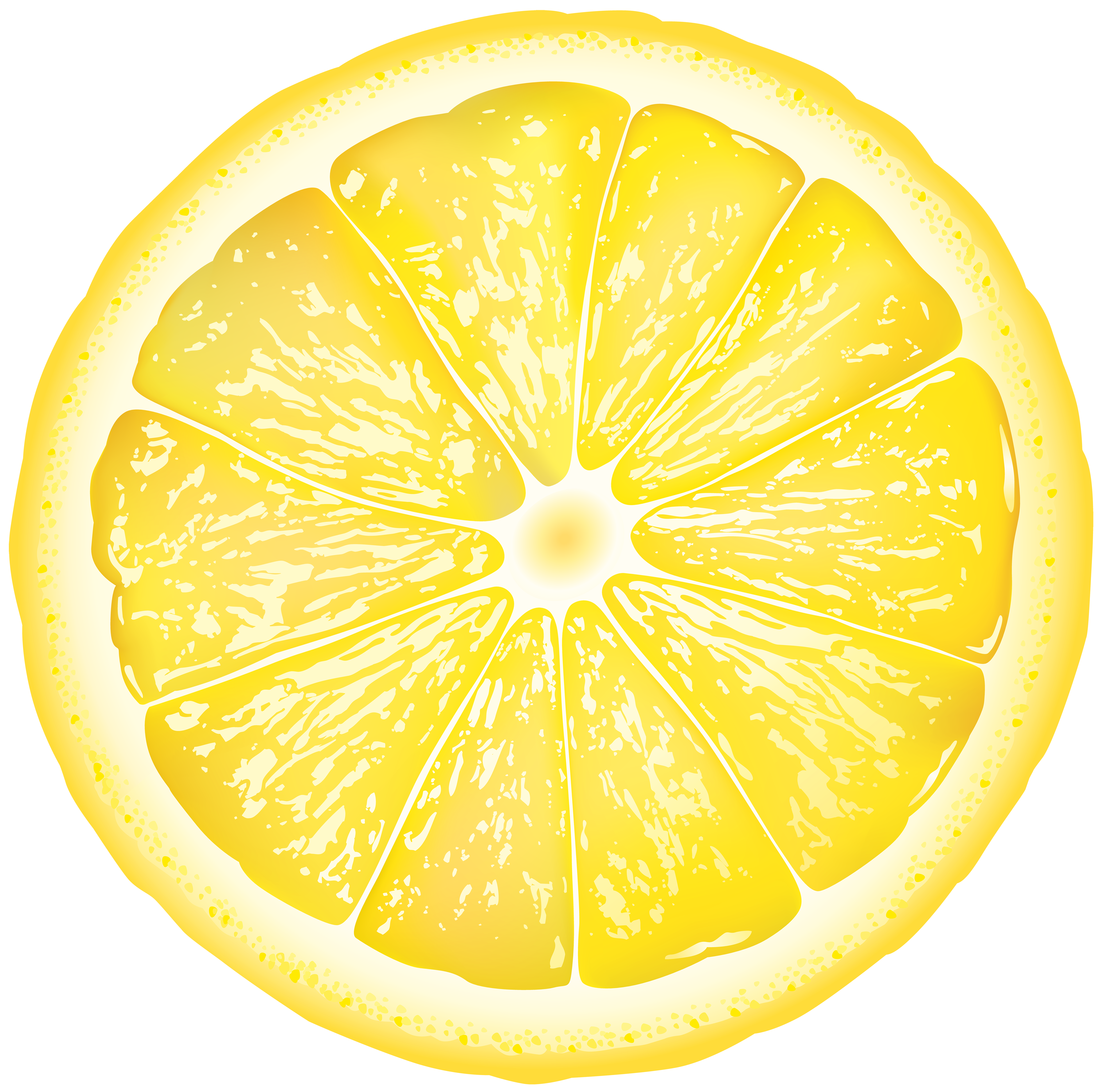 sliced lemon png