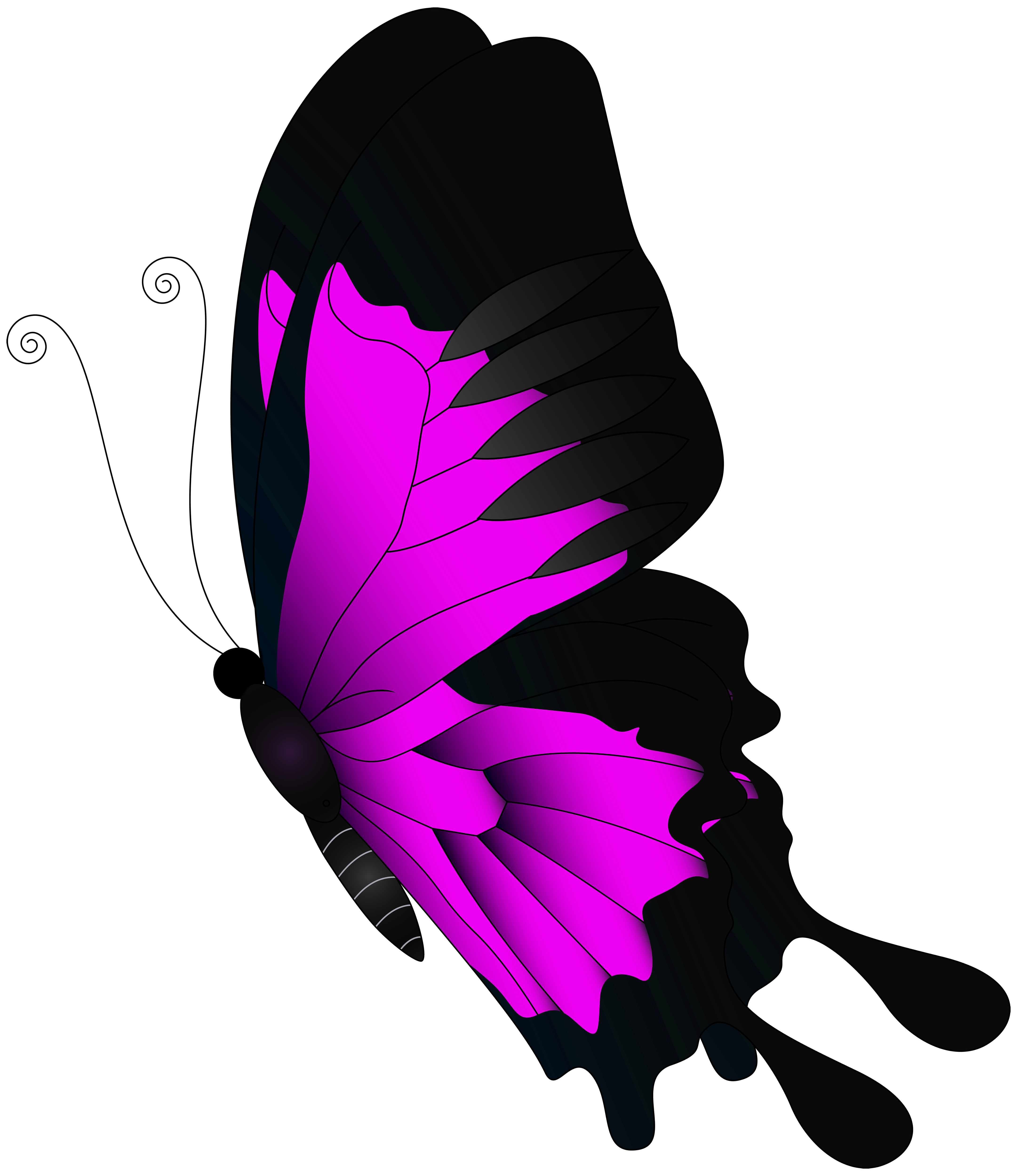 flying pink butterfly