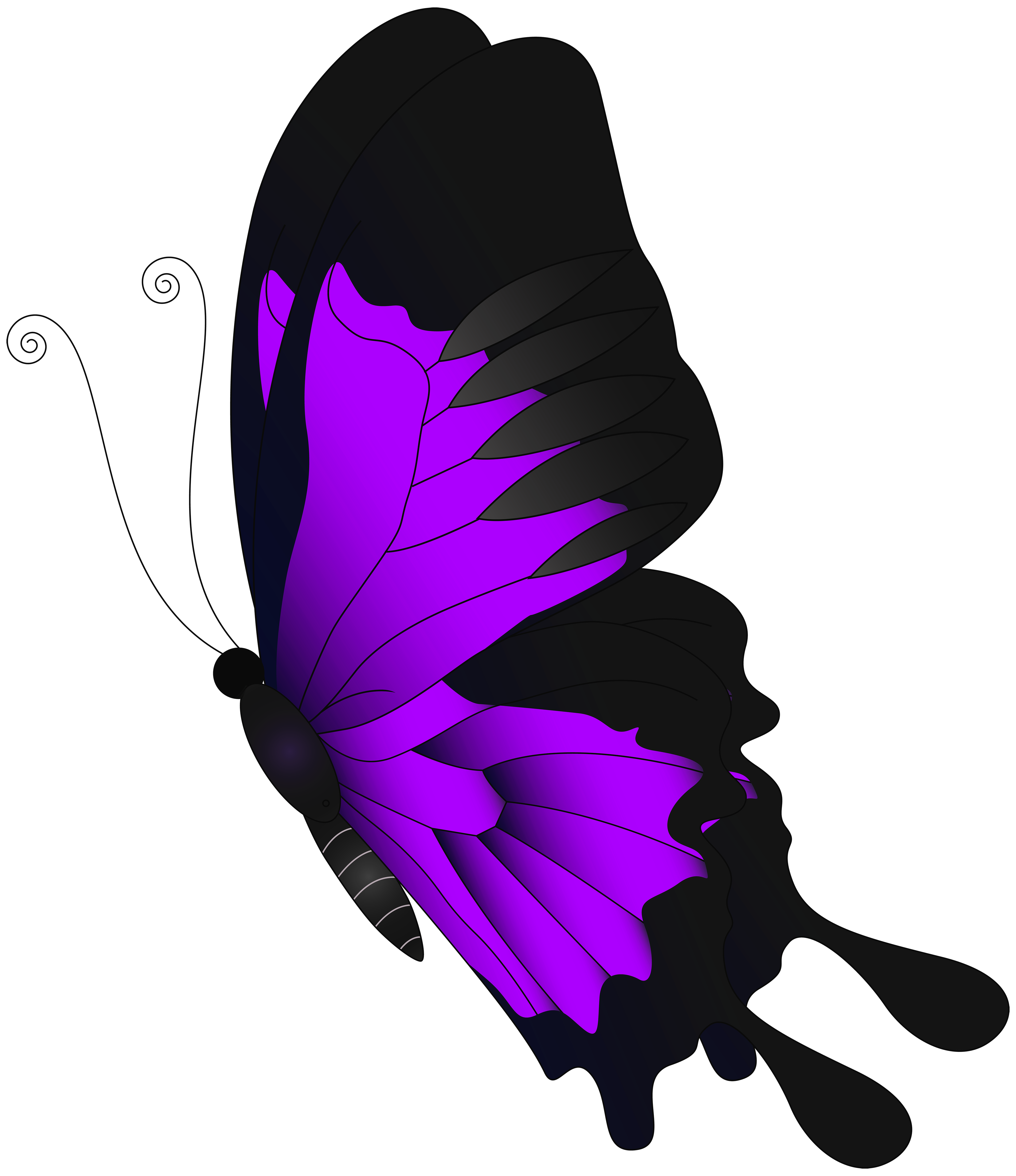 Purple Flying Butterfly PNG Clip Art​ | Gallery Yopriceville - High-Quality  Free Images and Transparent PNG Clipart