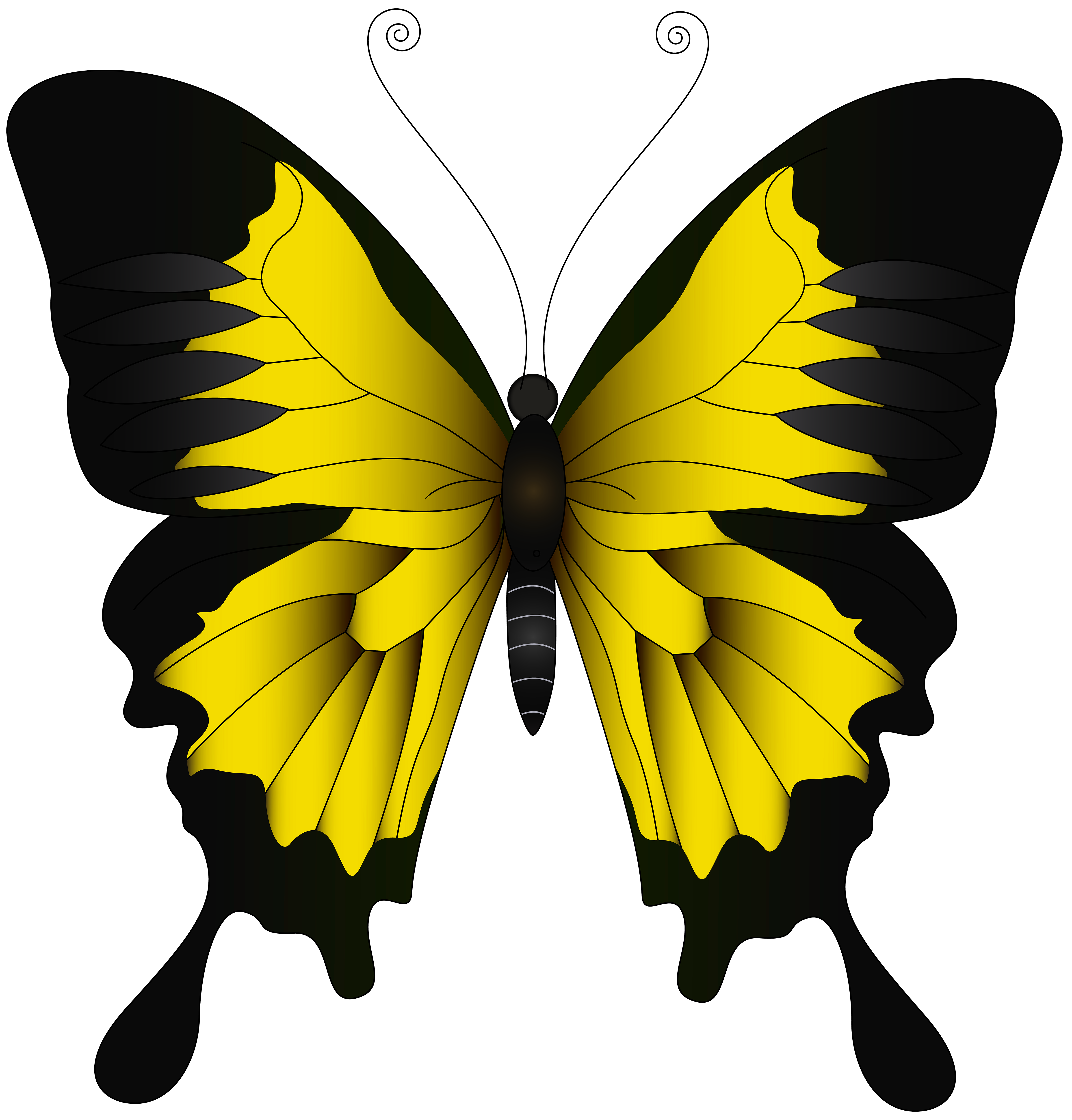 yellow and black butterfly drawing