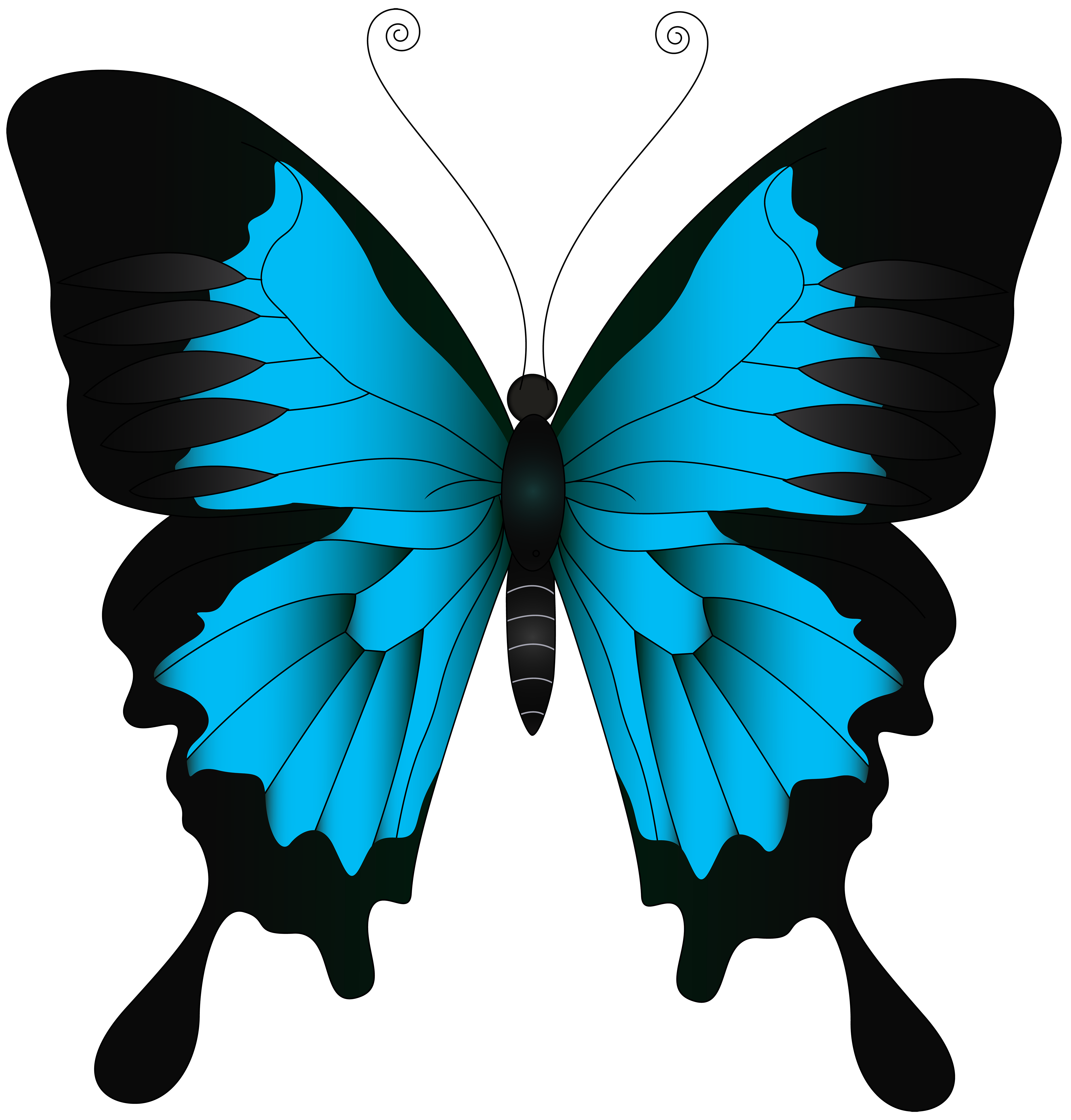 blue cartoon butterfly