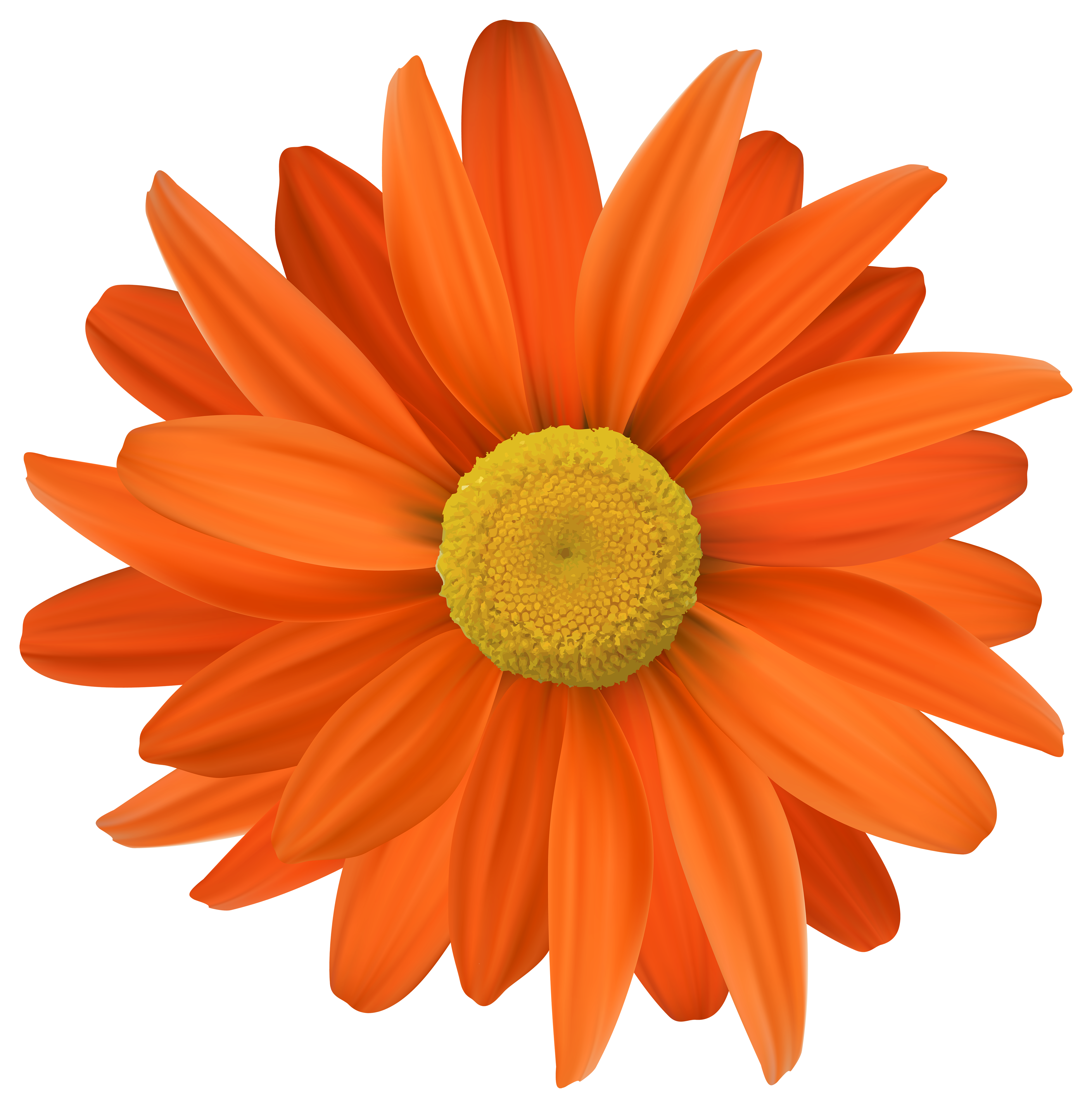 Orange Flower Transparent PNG Clip Art​ | Gallery Yopriceville -  High-Quality Free Images and Transparent PNG Clipart