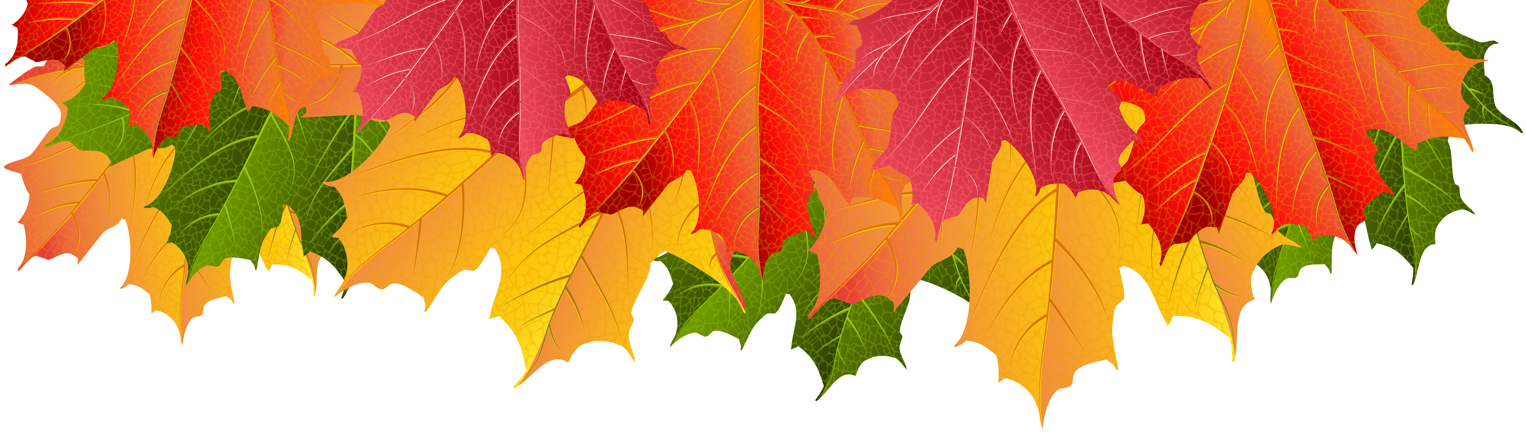 leaves clipart border