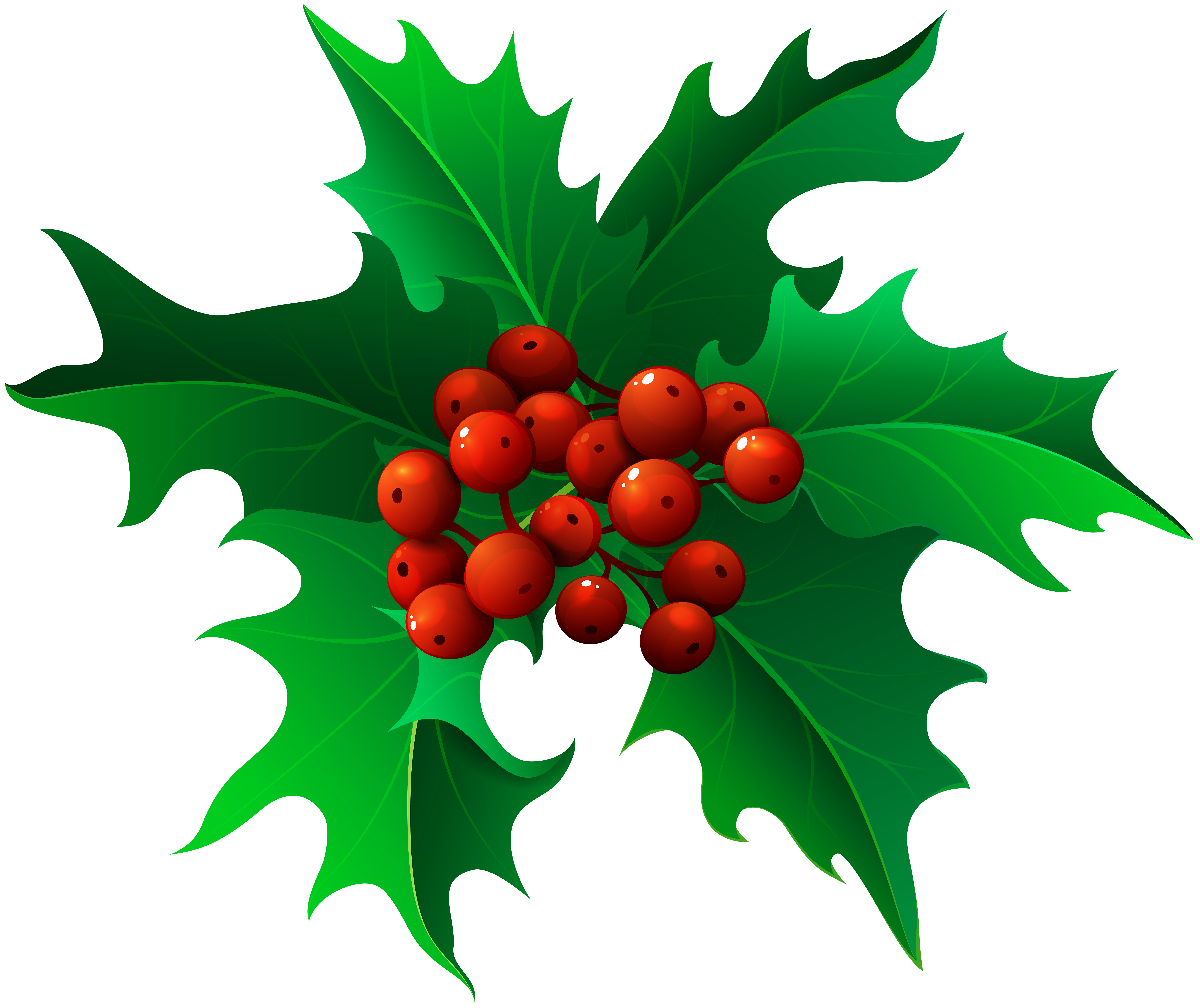 Christmas Holly Mistletoe Transparent Png Clip Art Gallery Yopriceville High Quality Images And Transparent Png Free Clipart