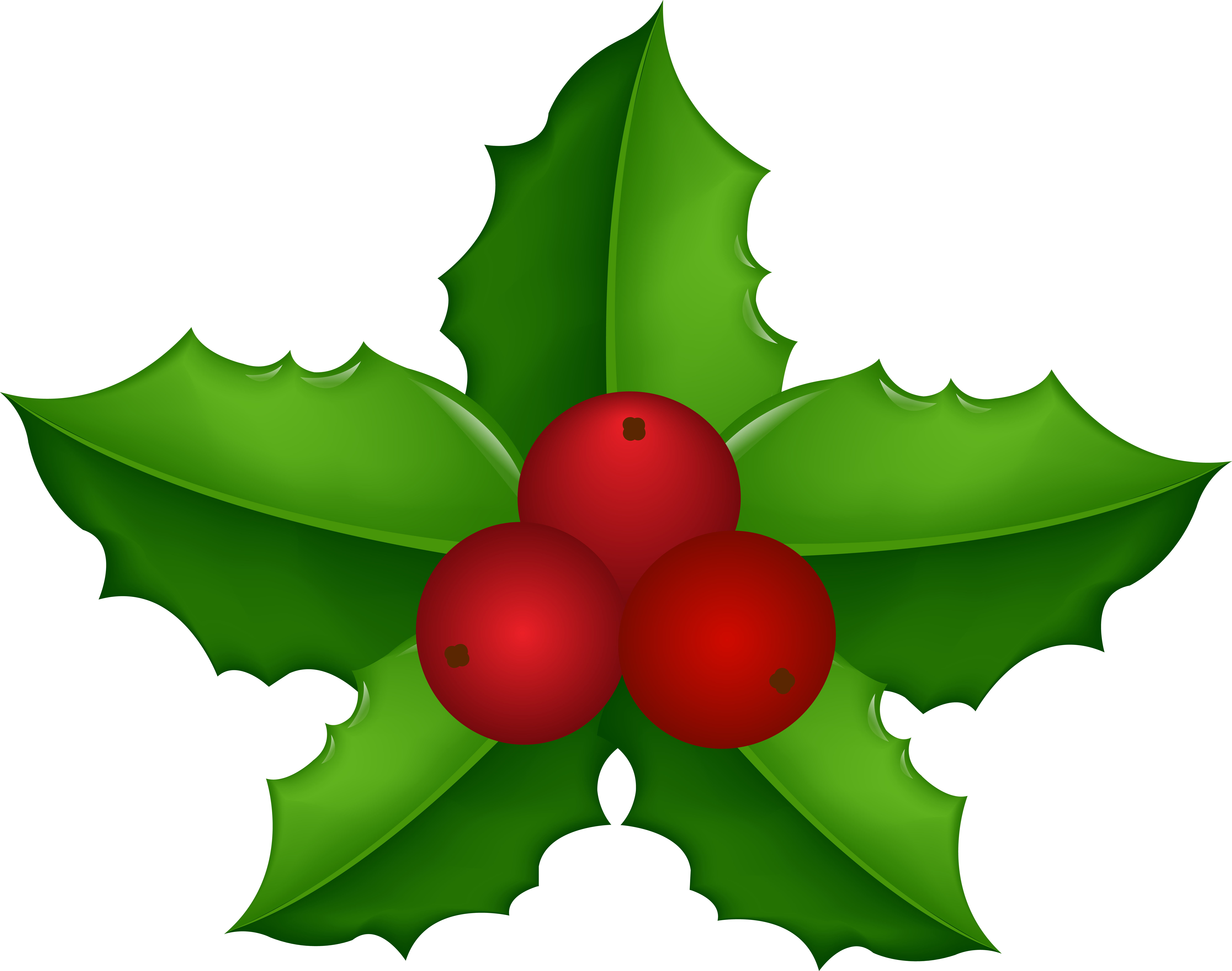 Christmas Holly Transparent PNG Clip Art​