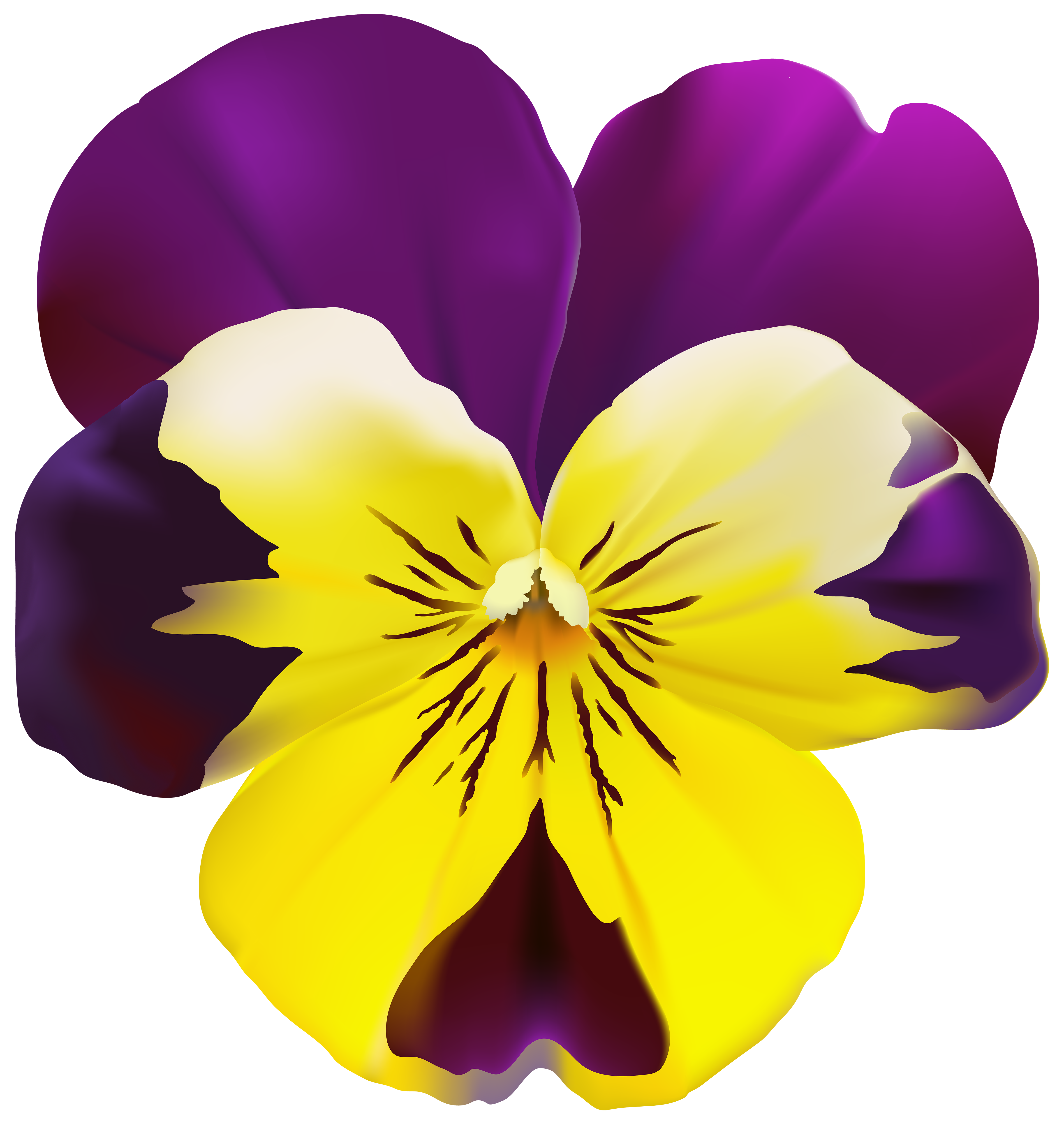 yellow and purple flower clipart