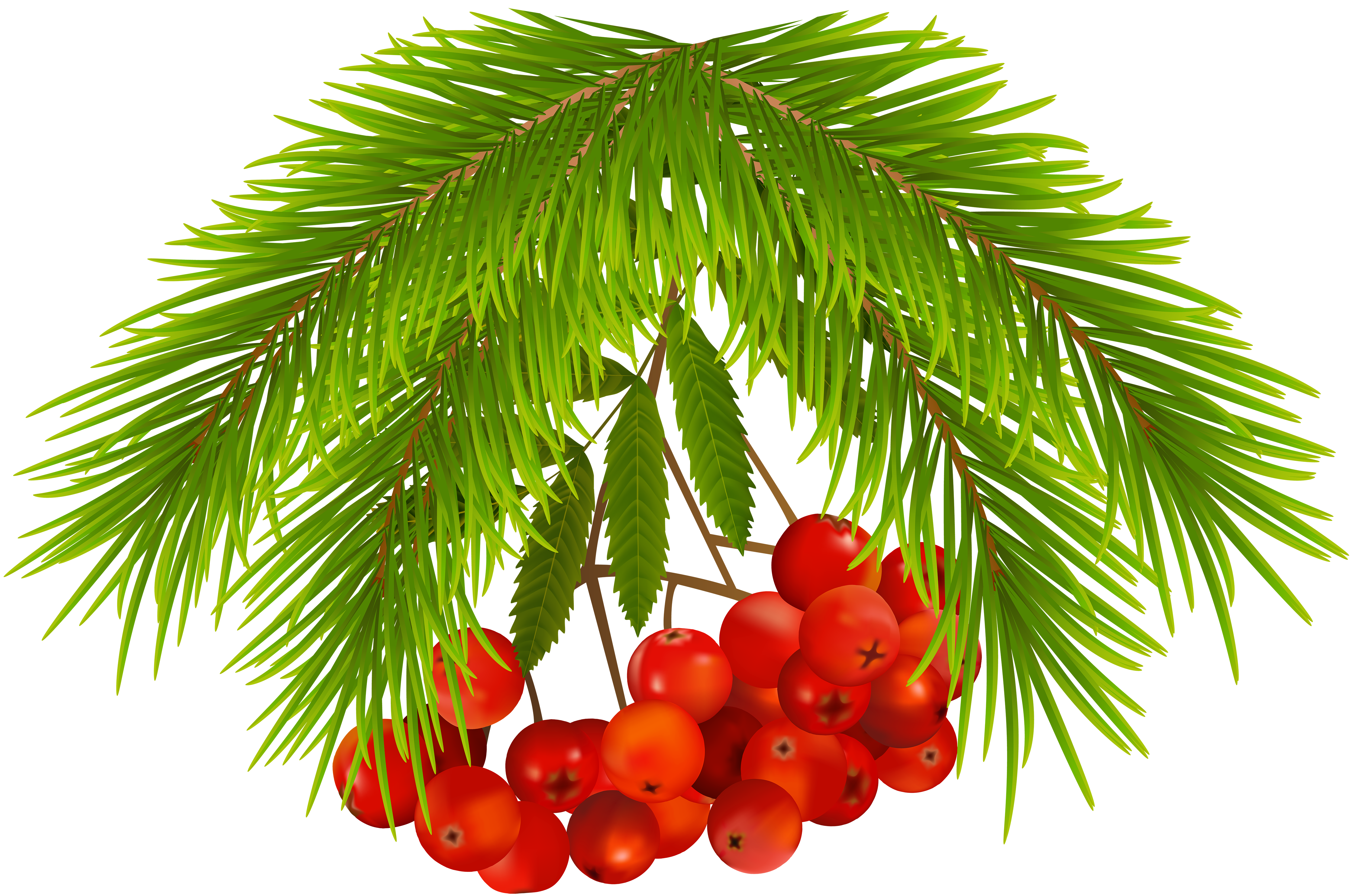 holly berry clip art